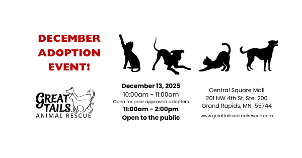 December Adoption Event