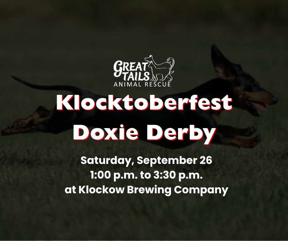 Klocktoberfest Doxie Derby 