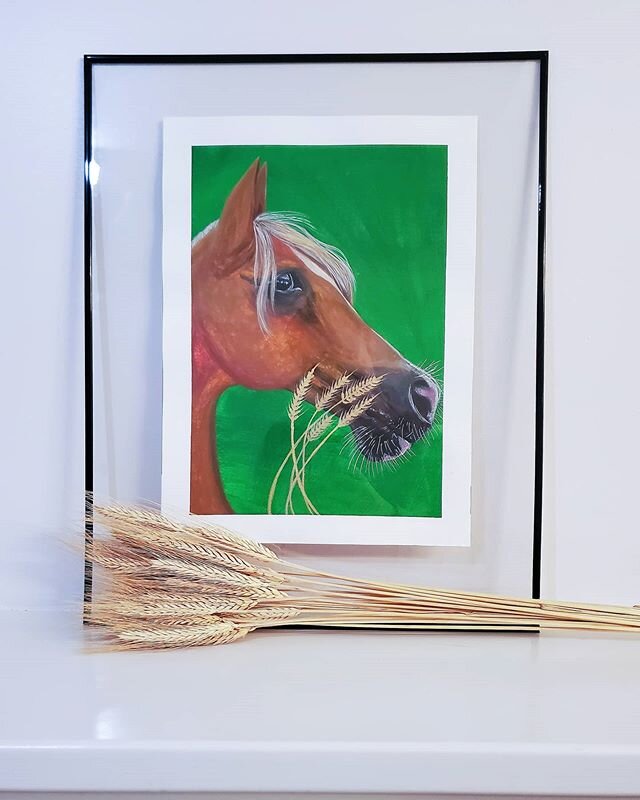 ARABIAN |  @artezaofficial gouache on @strathmoreart cold press watercolour paper. Remember to be kind today🐴🌾
-
-
-
#horse #horsepainting #horsesofinstagram #natalianowakart #onyxkawai #tippawanbriantarry #weloveartss #drawinganatomyandart #illust
