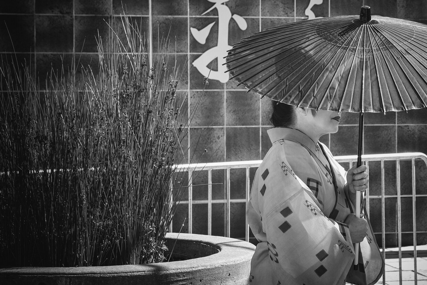 Wooden Umbrella | San Francisco