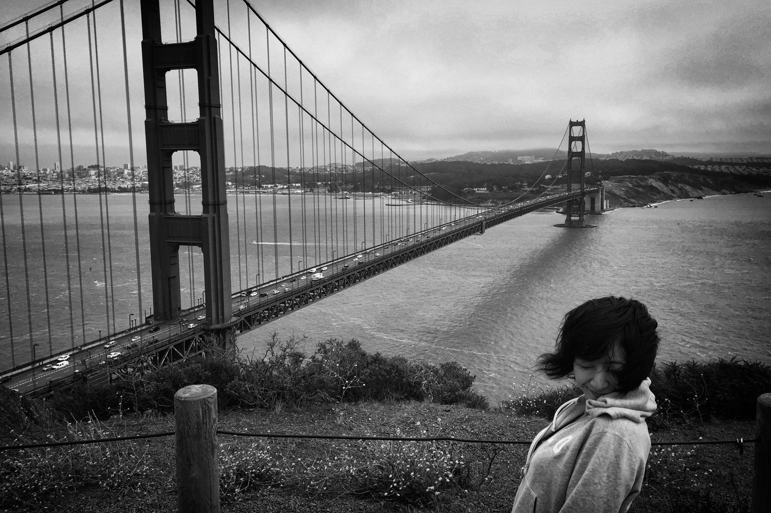 Windswept | San Francisco