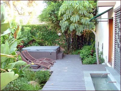 tropical4.jpg