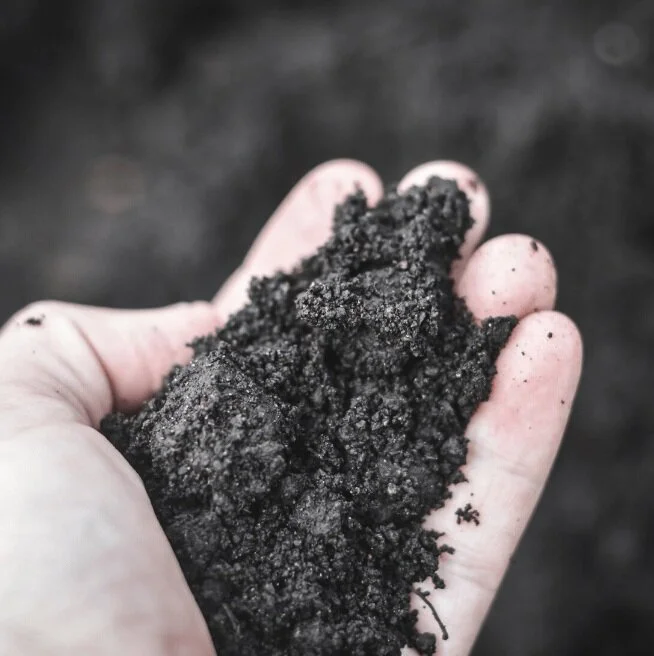What Makes Soil "Good"? A Lenten Reflection