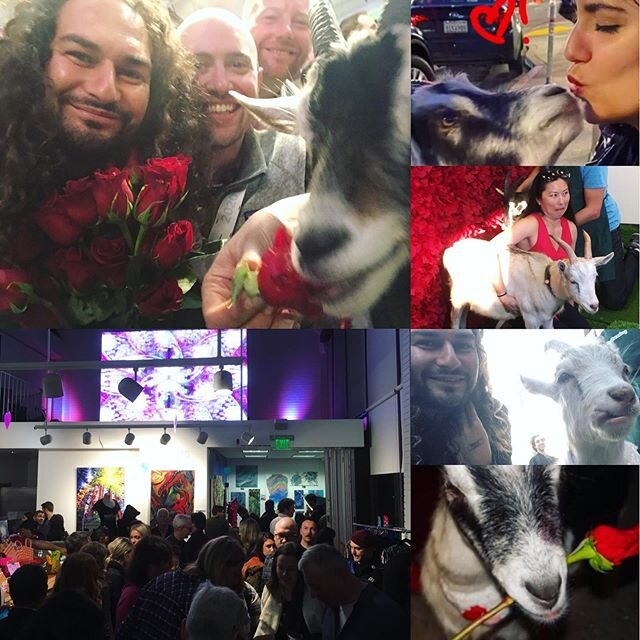 We had a great #goatmyvalentine with over 1,000 humans and 10 goats, all smiles! What a blast ! @citygrazing is the 🐐! @ivalueculture was thrilled to put this on and we have so much more to come to enhance SF culture and get you involved! It all sta