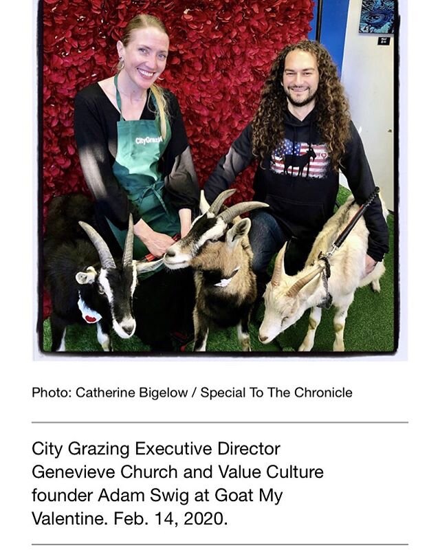 Blessed to have coverage of #goatmyvalentine in the @sfchronicle ! @ivalueculture @citygrazing @snapfiesta @localmakermart @palmiabeer @holycraftbrewery @brokensealbuttons and all of our friends, family, neighbors, community, thank you, SF is a beaut