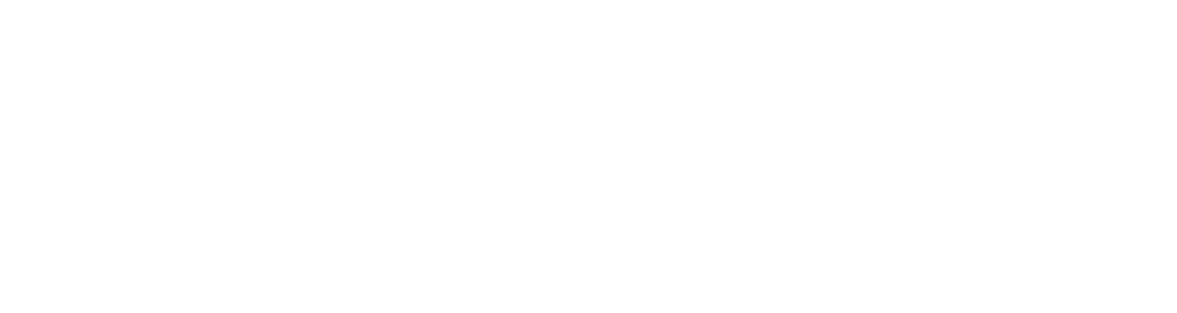 RLPI-Logo-Nov18-001-allwhite.png