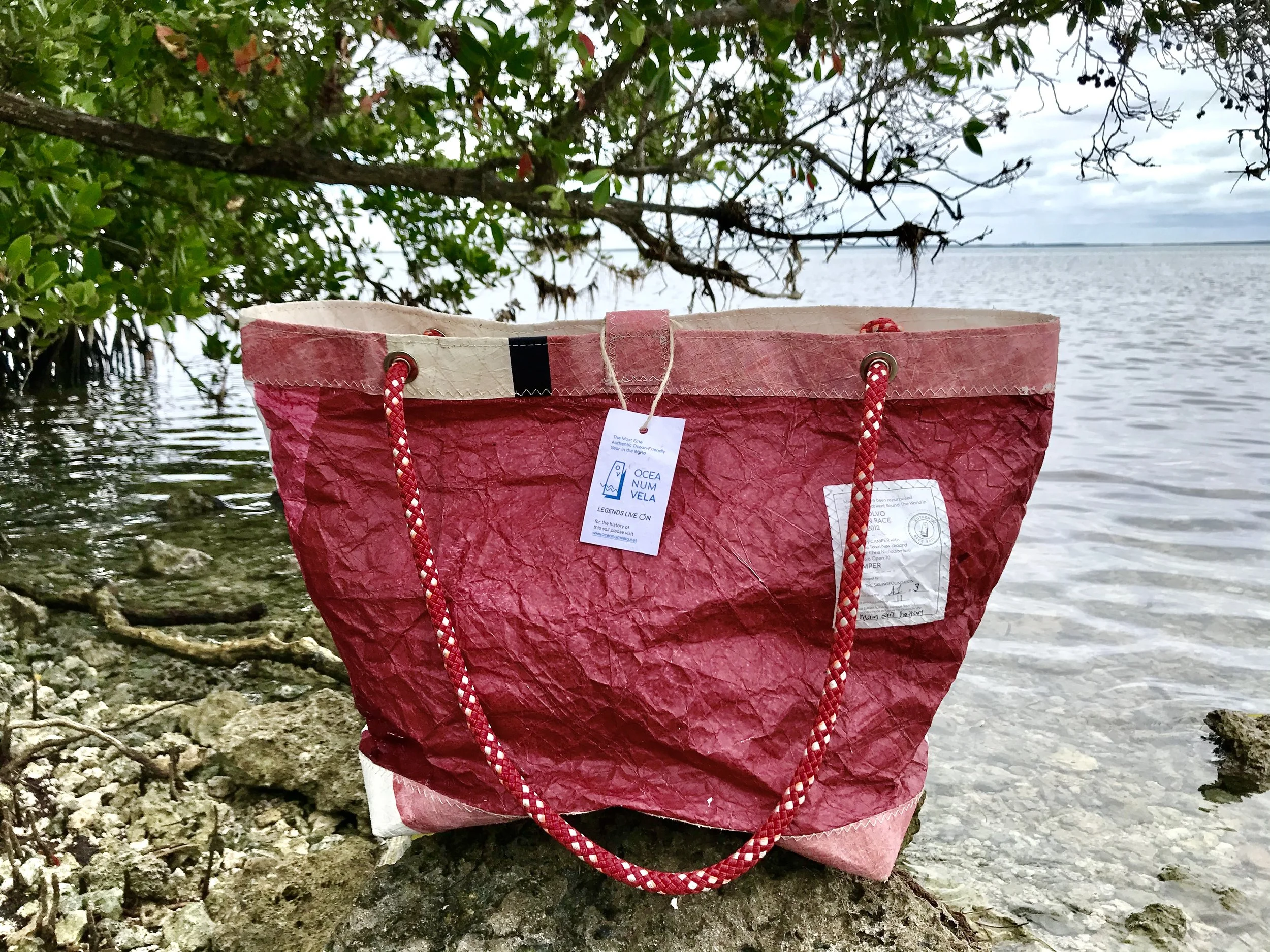 VO 70 Camper- OV Medium Tote