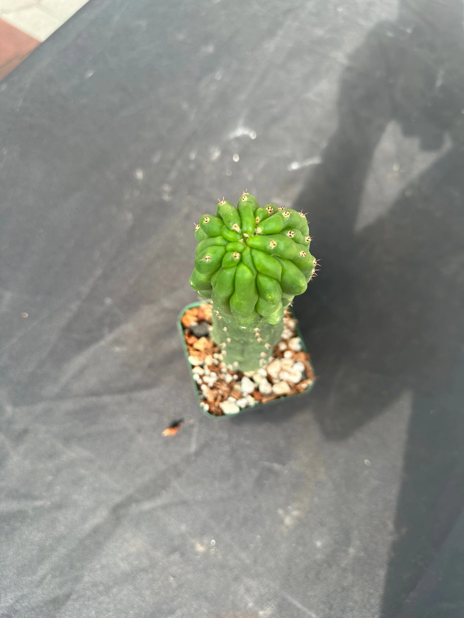 8C1EC267-3EC0-47E7-95D9-35F35B235287