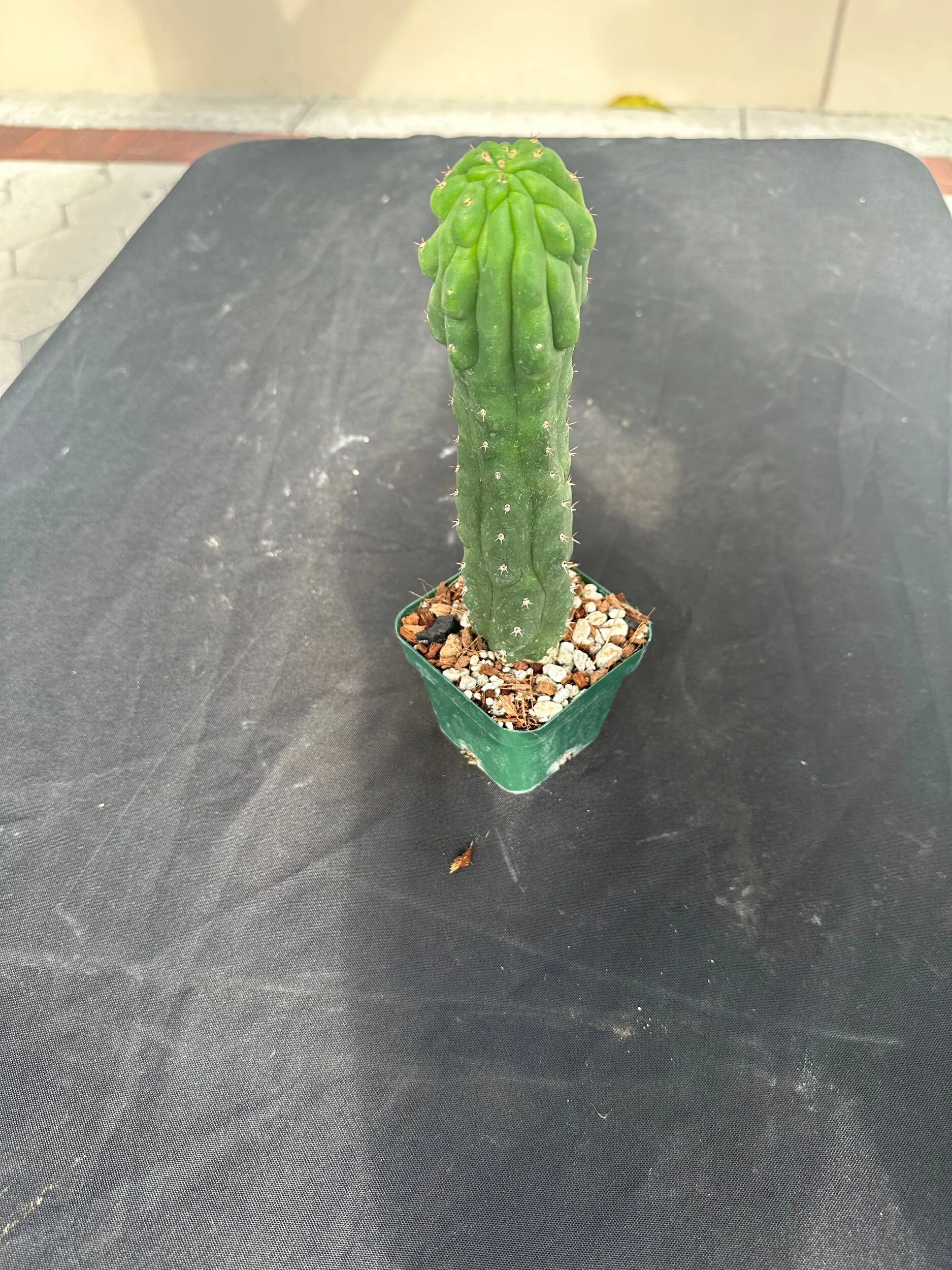 85F7E471-7BE0-467C-AFDE-624A47F83C91