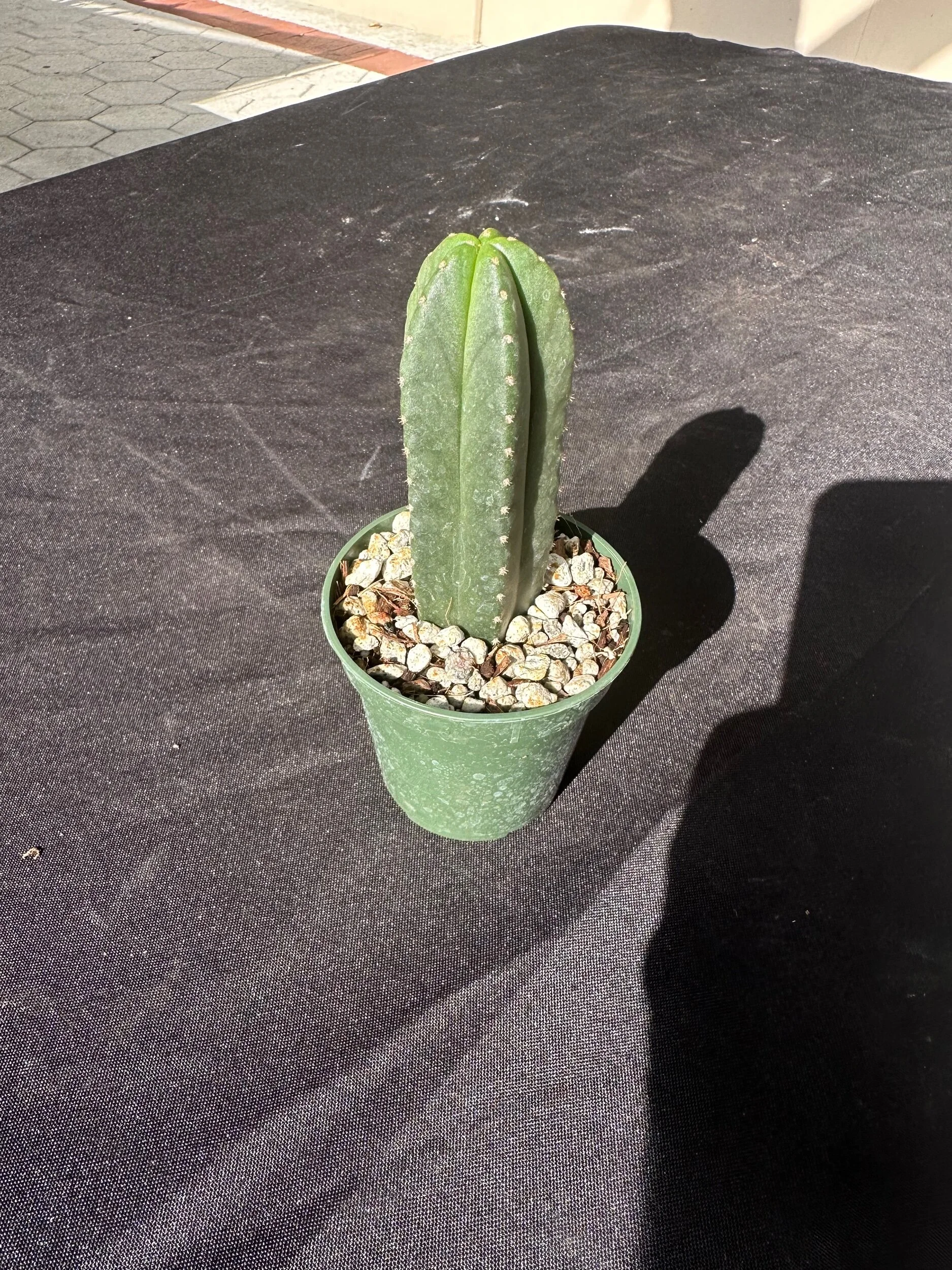 D28CA74D-7ADD-4381-9D5F-EA32A157EDE2