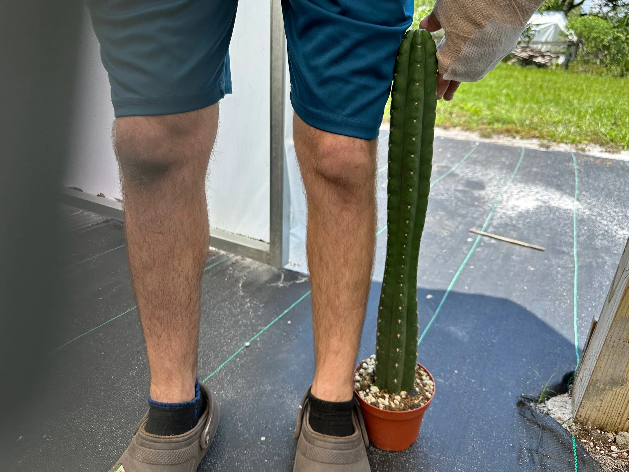 C06BD6BA-A4E3-421A-9DA3-859412F561AE