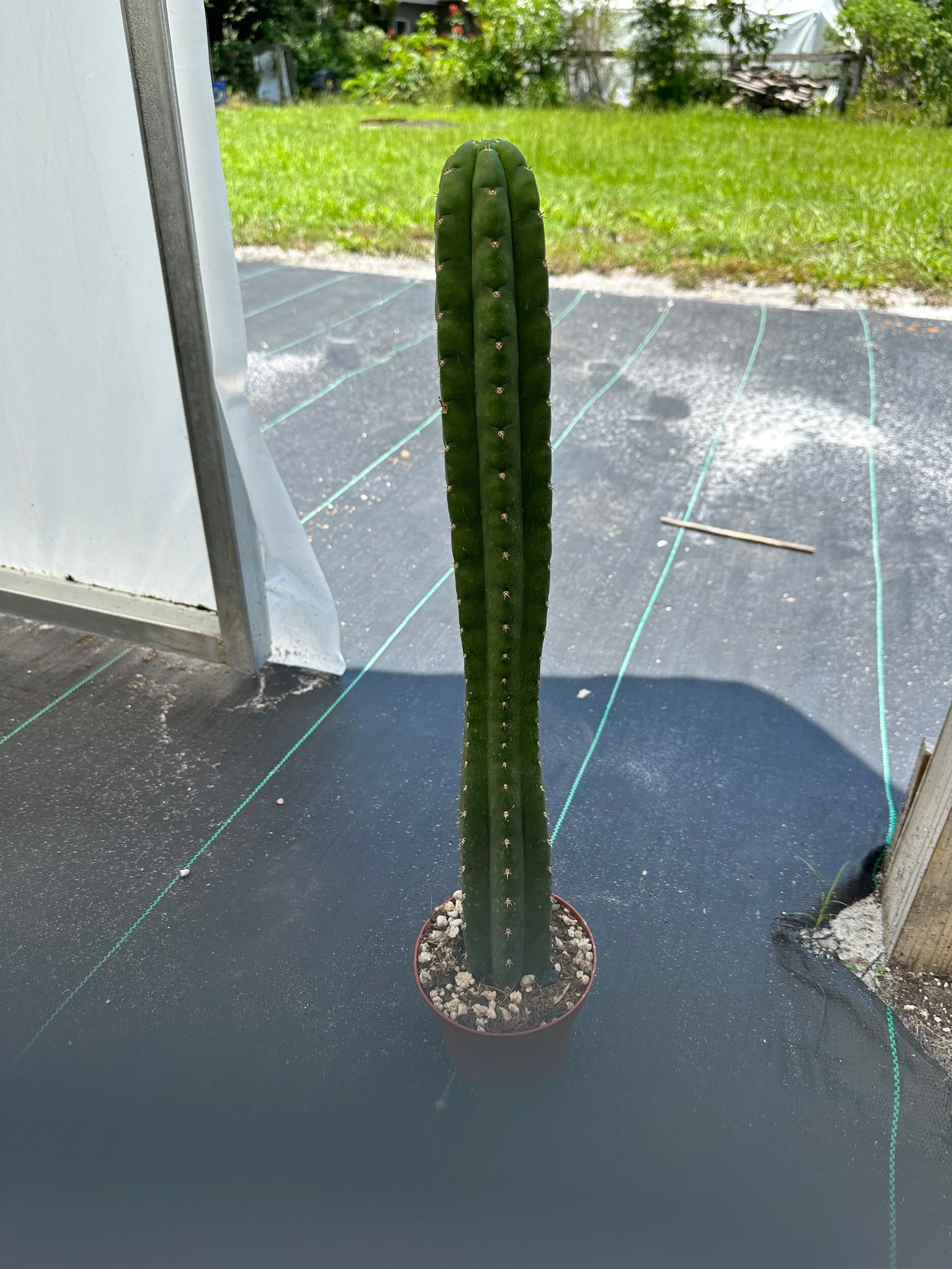 34DC374B-9262-4813-A870-2EE052F0ABE1