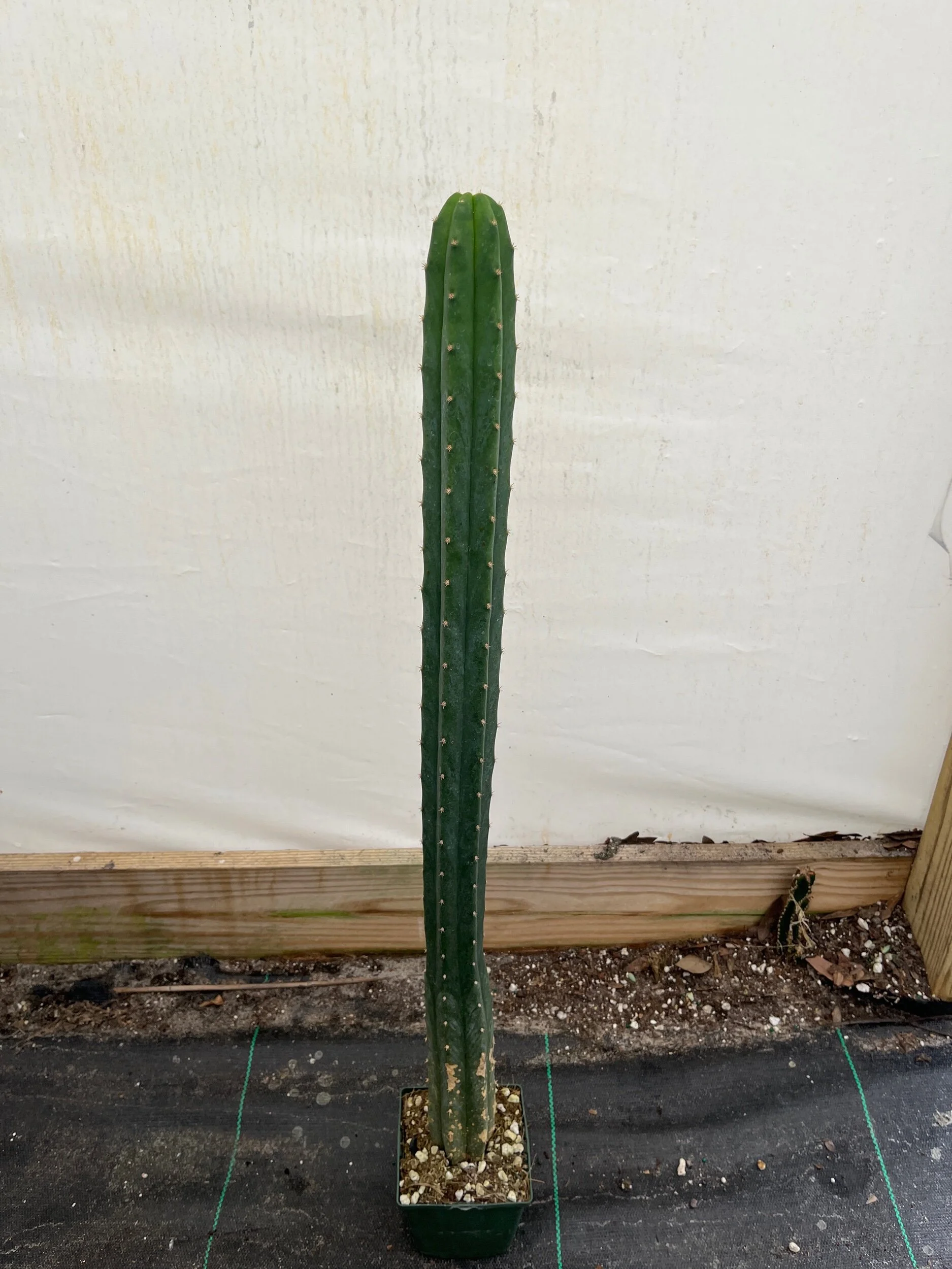 29A15B2C-A45A-44B6-9754-32B17E8ABED2