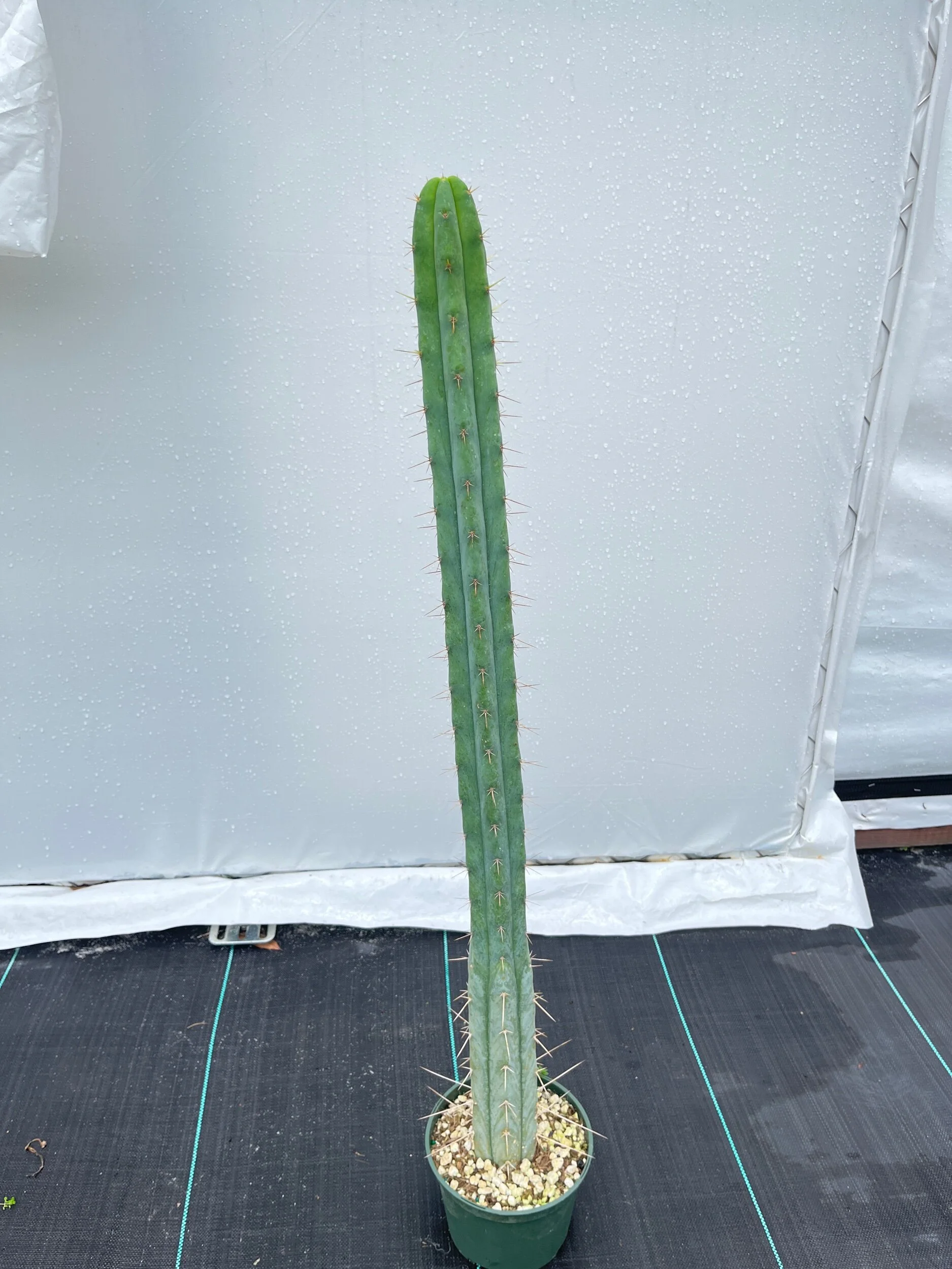 CF28E054-AECD-4662-8DD4-2F74FFE7A6A0