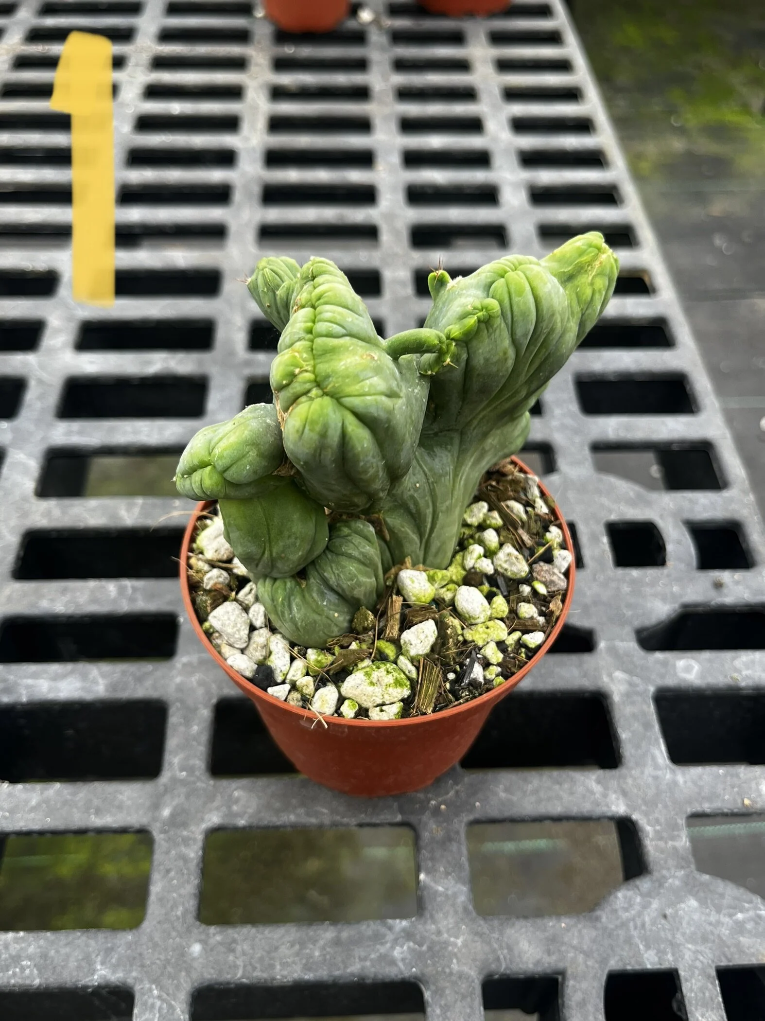 B552AFA8-63A9-4F0C-B9E9-FC2928DA10E2