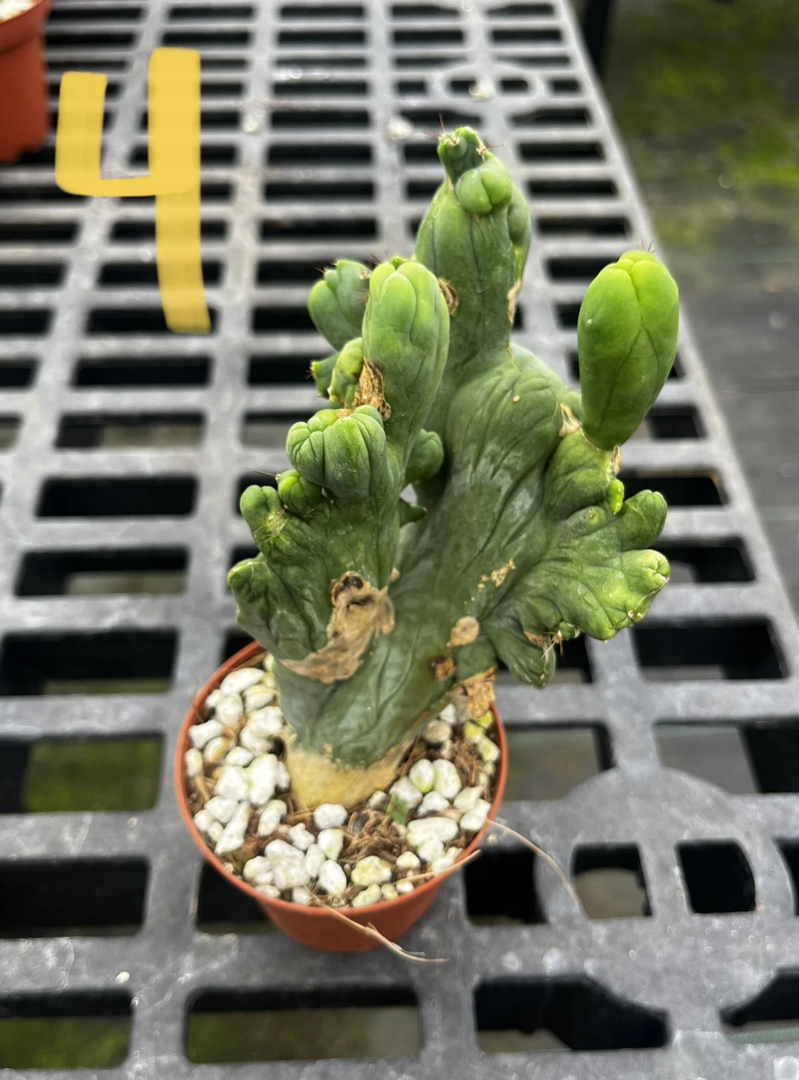 46847966-0D1F-4D06-9C29-82156BBA4E31