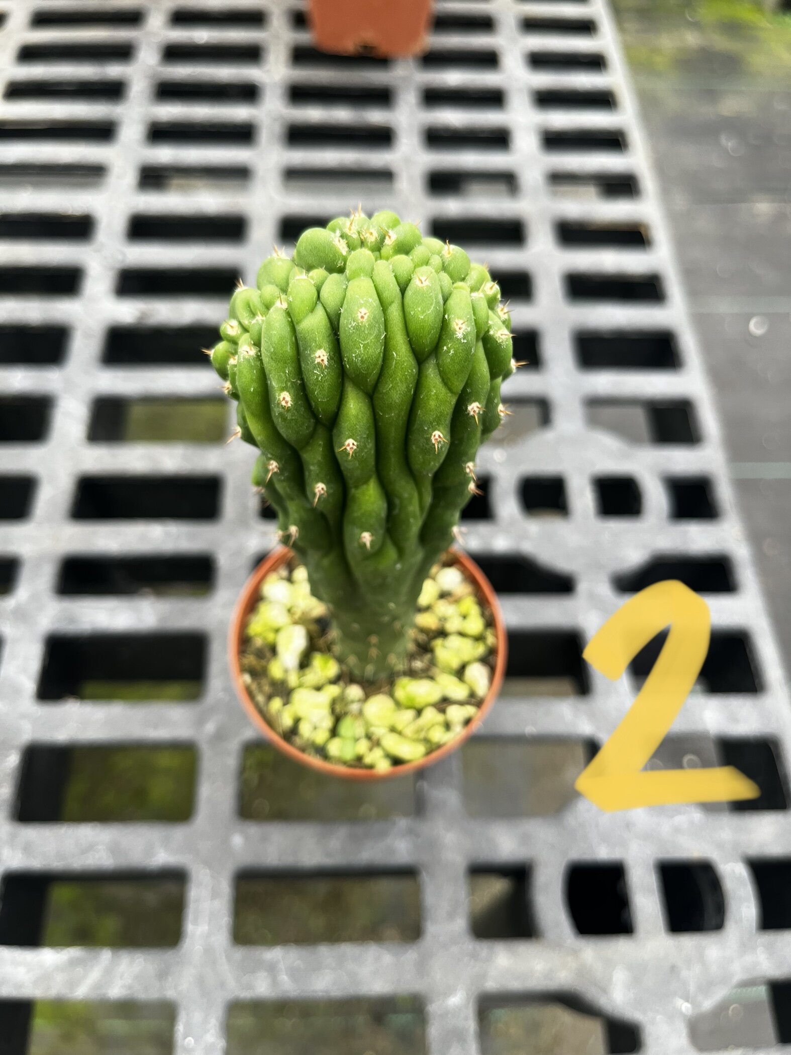 A78D52AE-2E21-453A-9D65-9F45348AEDBB