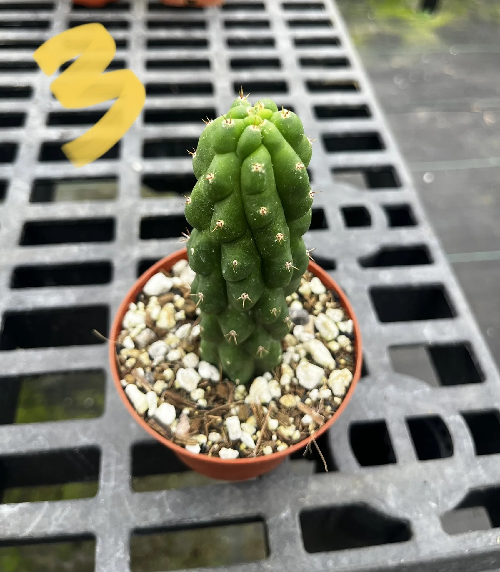 68D7A01D-8D0E-437A-98AB-FEB4AD4F704A