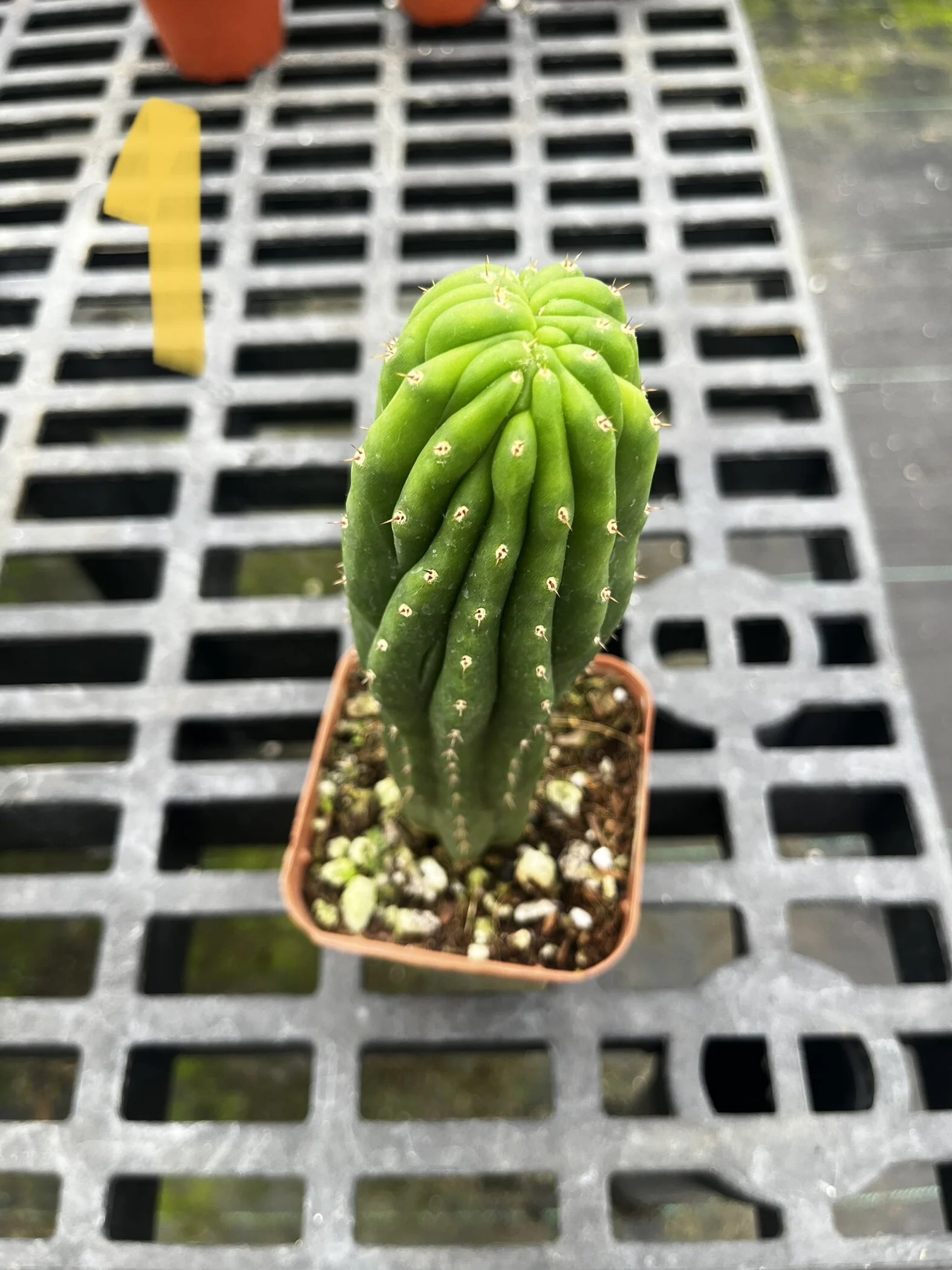 ADF53503-C90D-4BE1-838B-A2D9639322D1