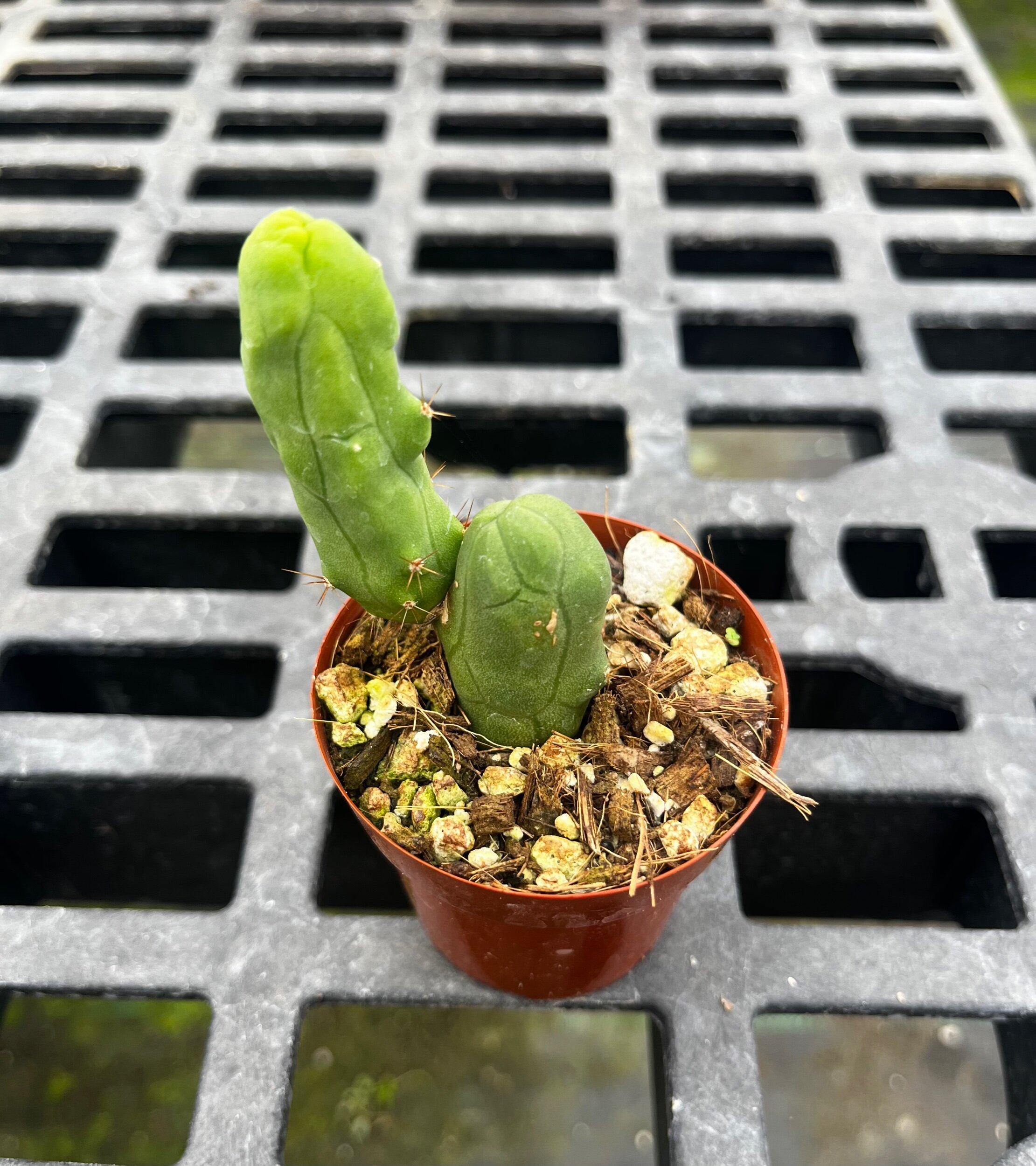 7EA79253-8B00-43DB-961A-7F66C27DF97A