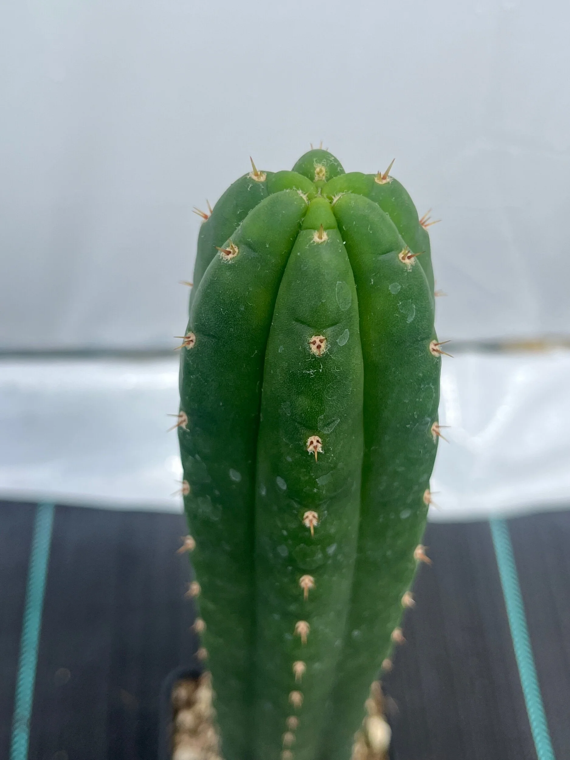 3CAD0838-1680-4DDF-804D-3BCA38D6C50C