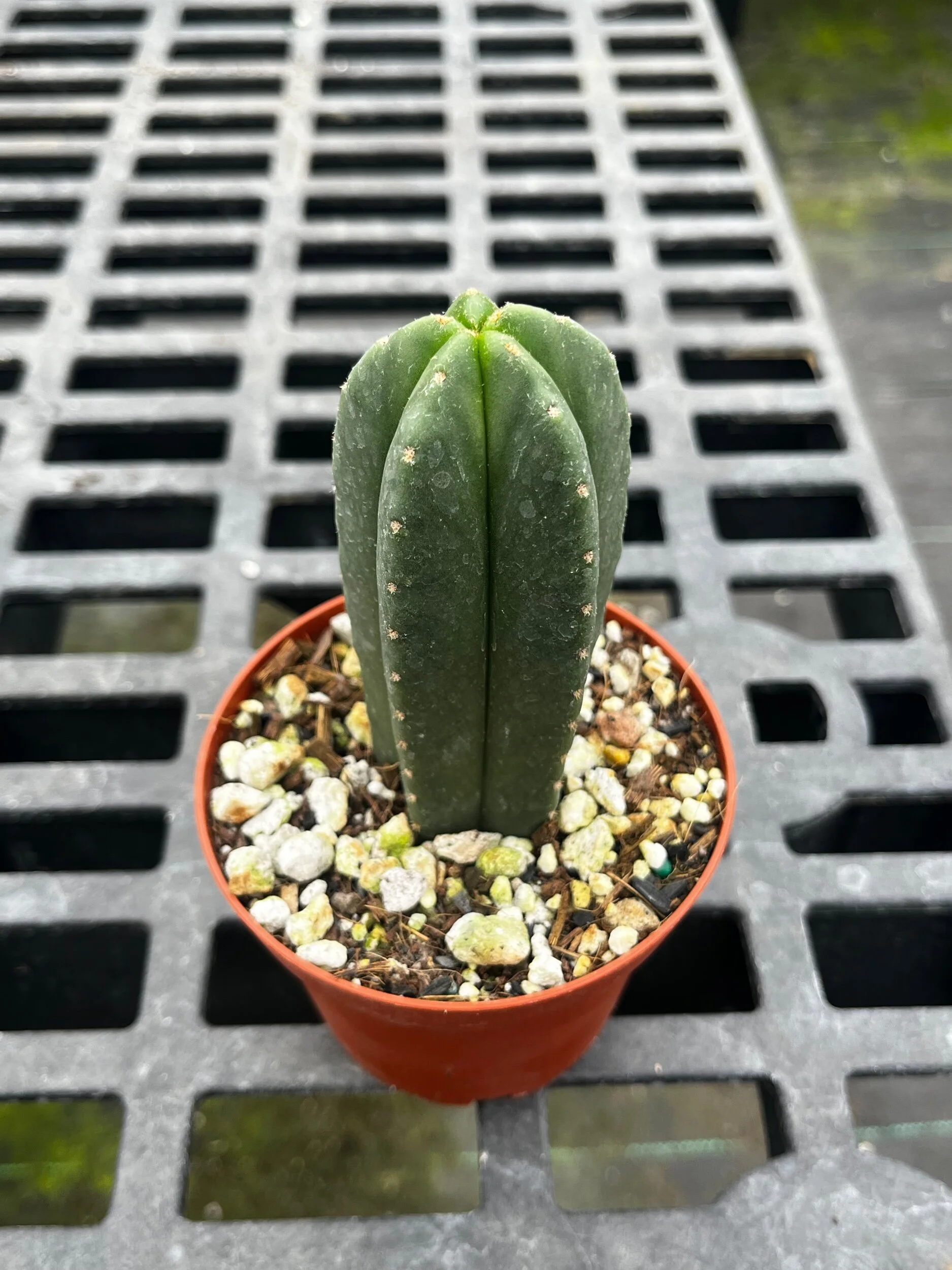 C5A31E78-B8C4-4AC0-8279-C65F169F8FFF