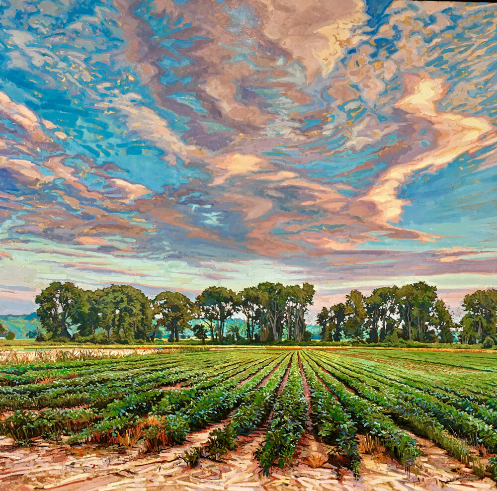 Clouds and Soybeans