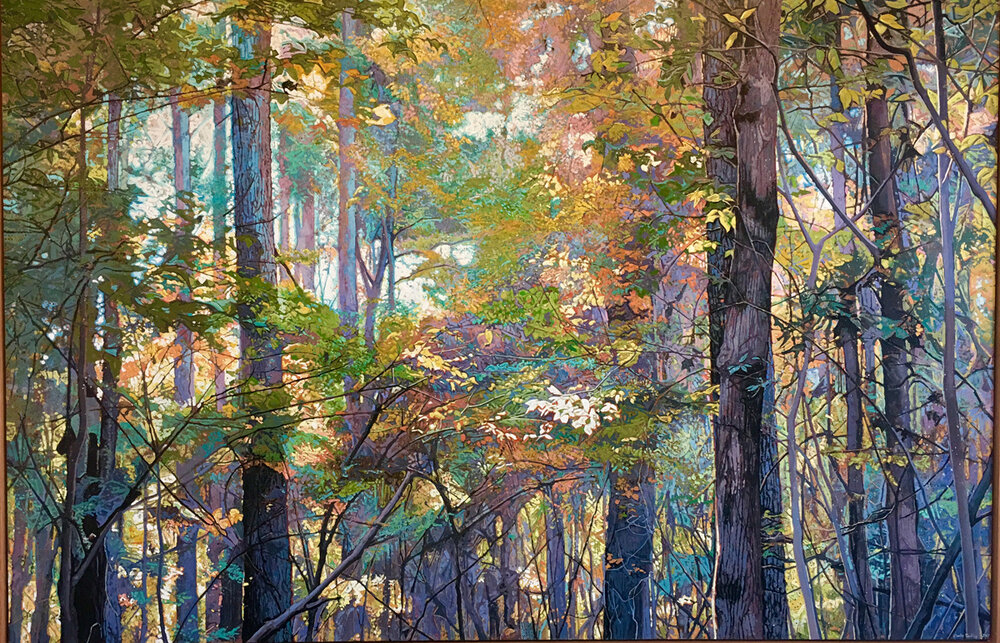 Forest, Late Summer, Early Fall