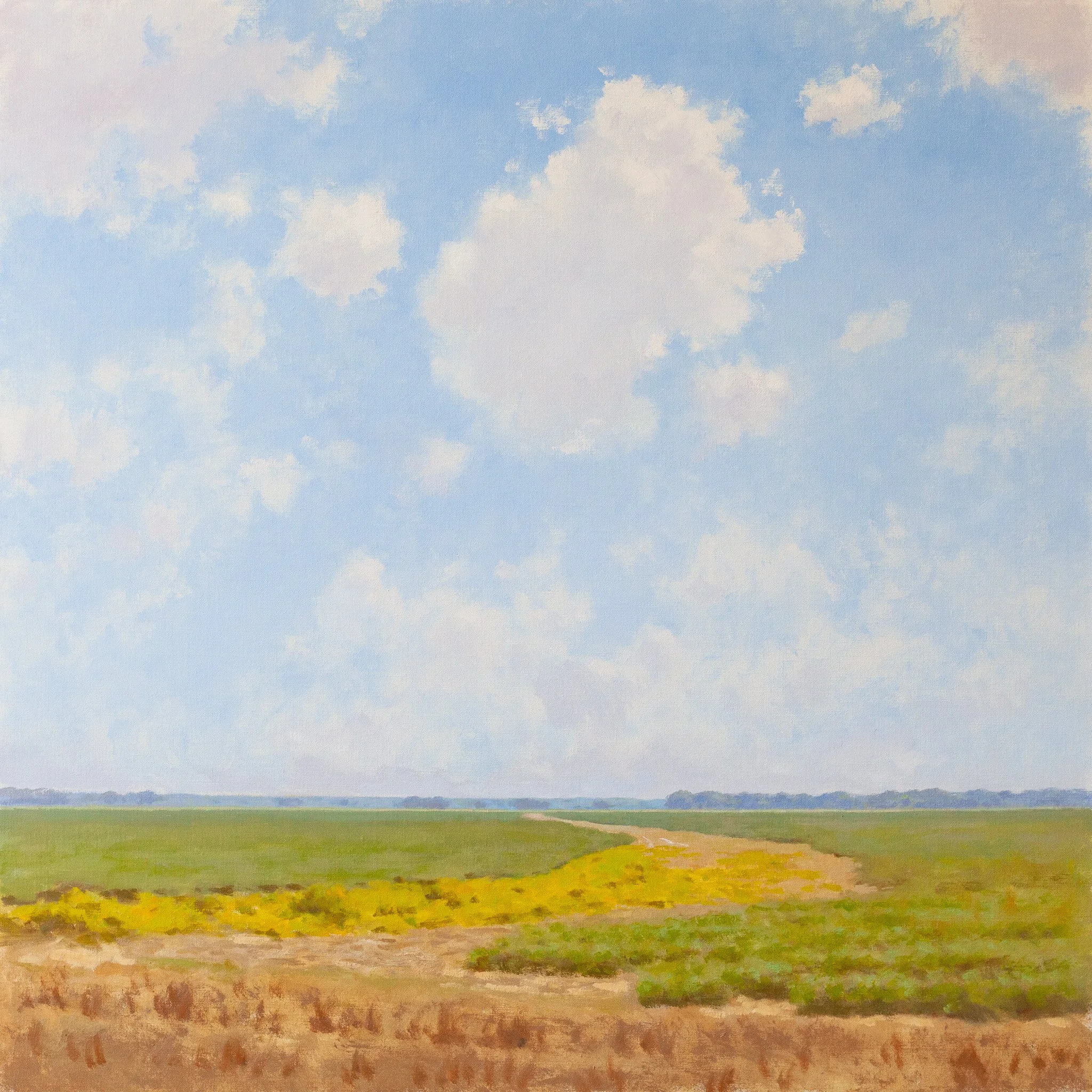 Mid Summer, Delta