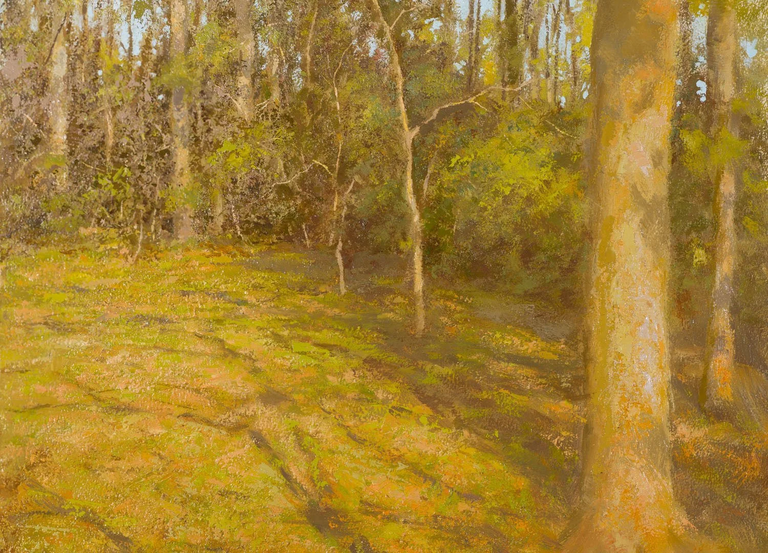 Woods, Early Spring