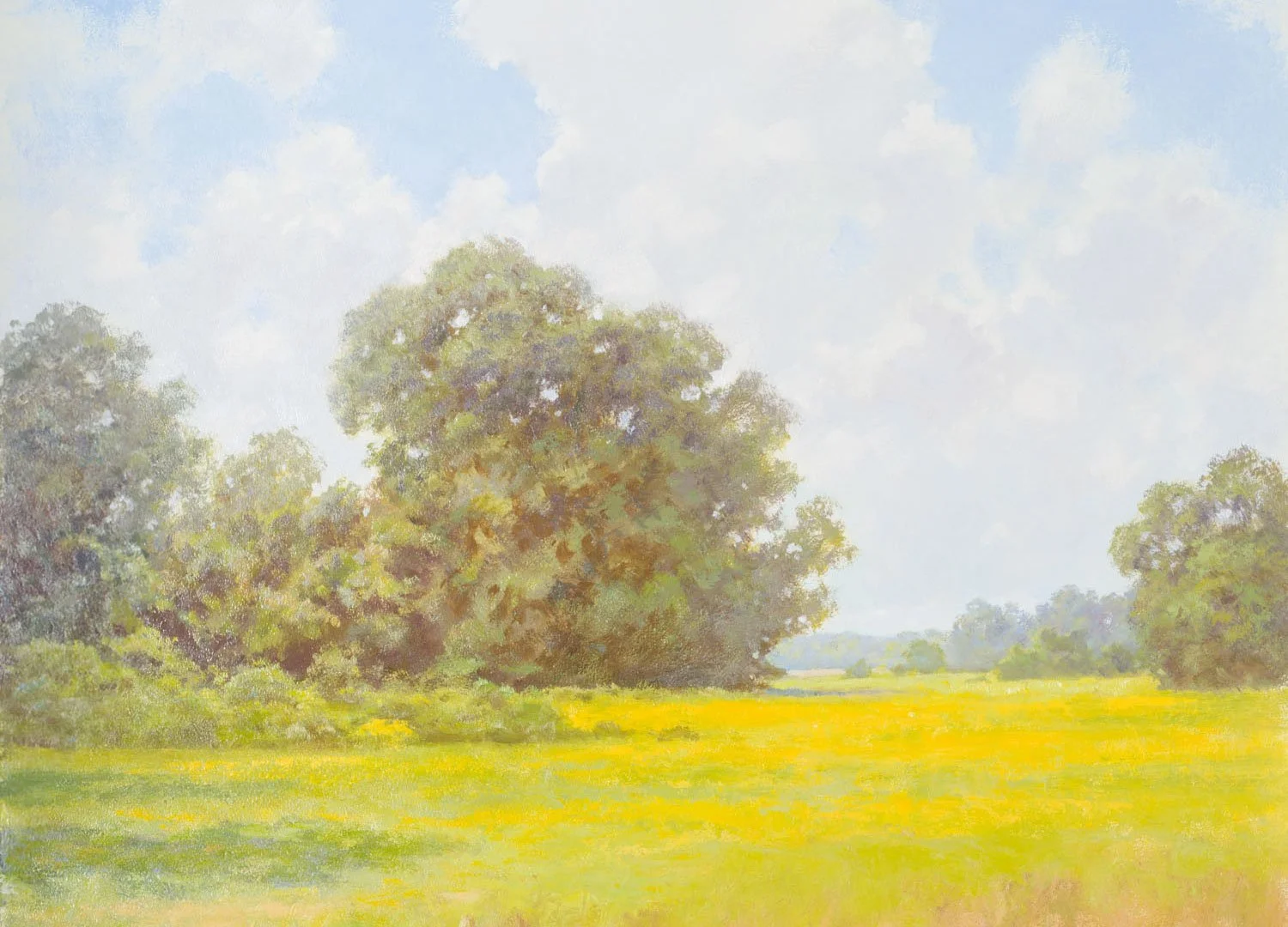 Mid Summer