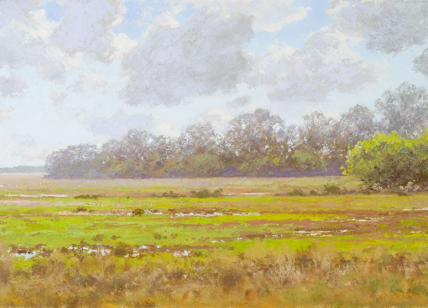 Early Spring, Delta