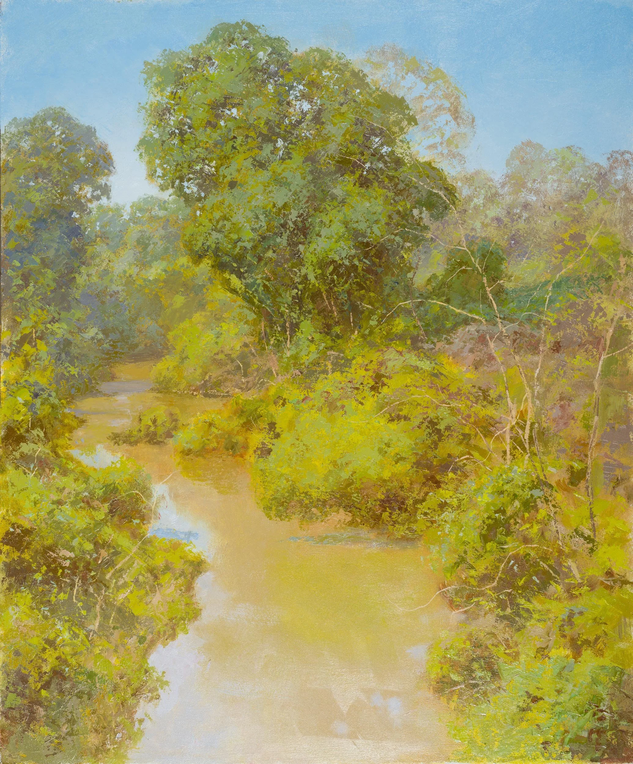 Creek, Early Spring