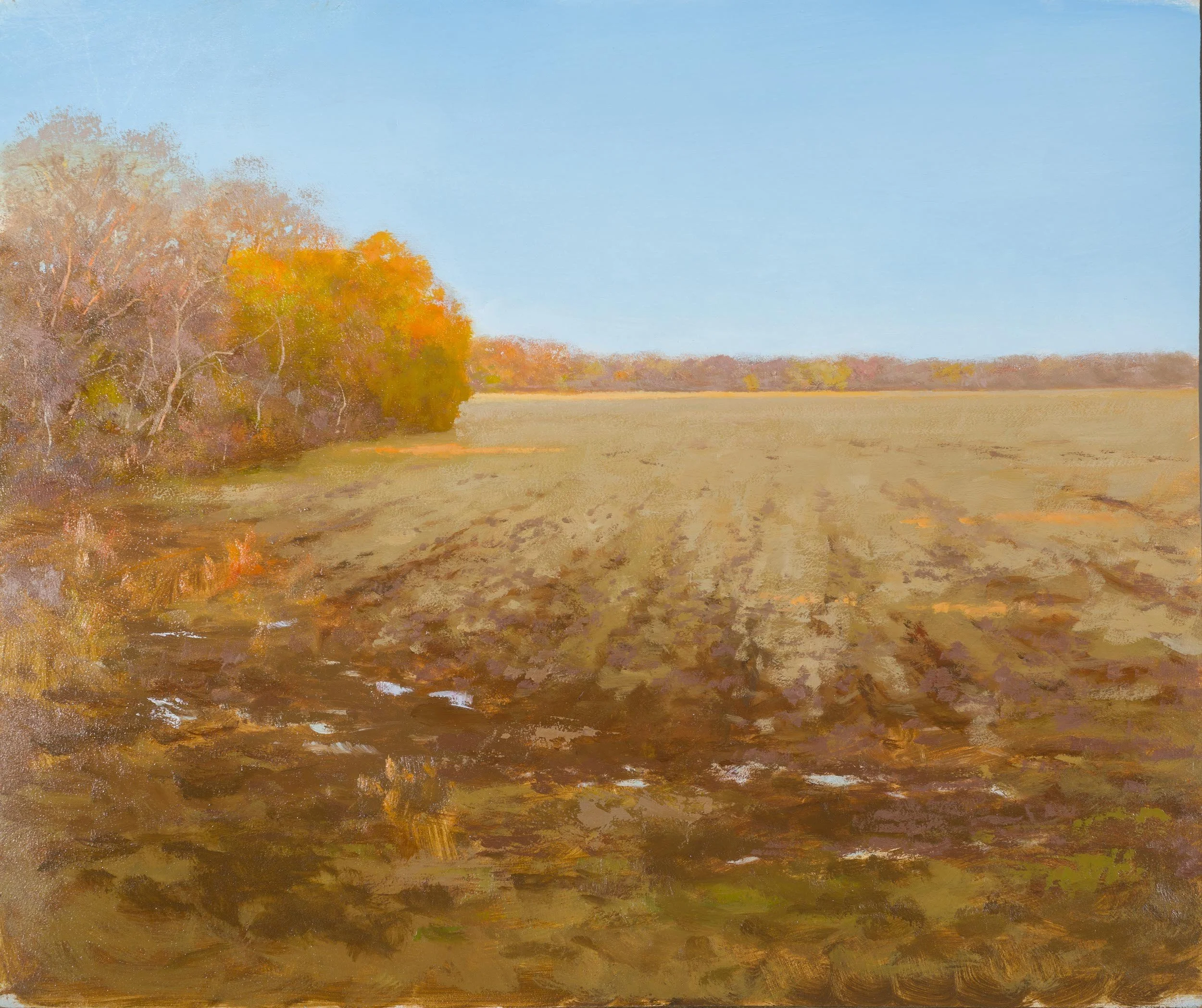 Early Morning, March
