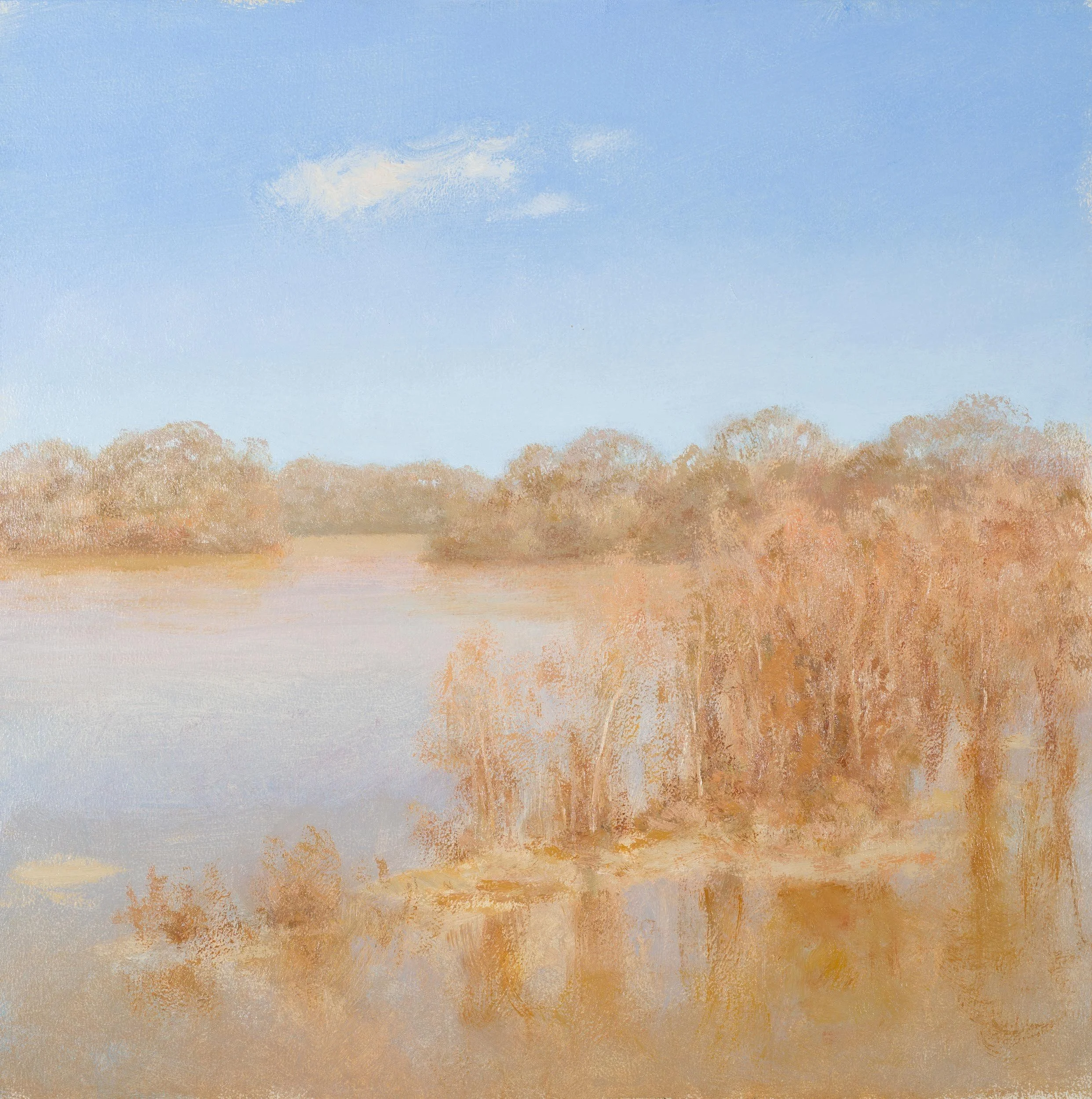 Flooded Pearl, Winter