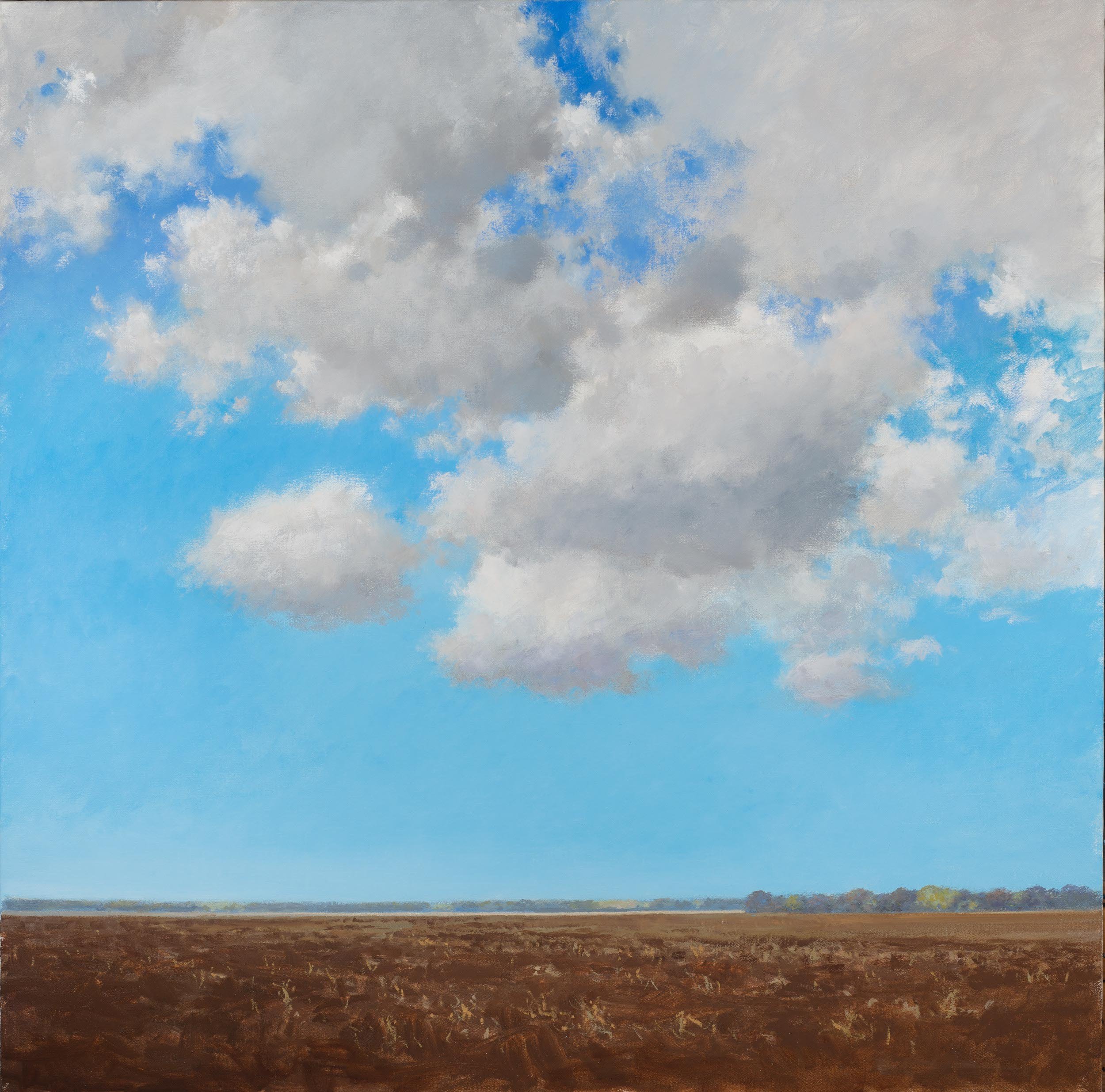 Late Afternoon, December