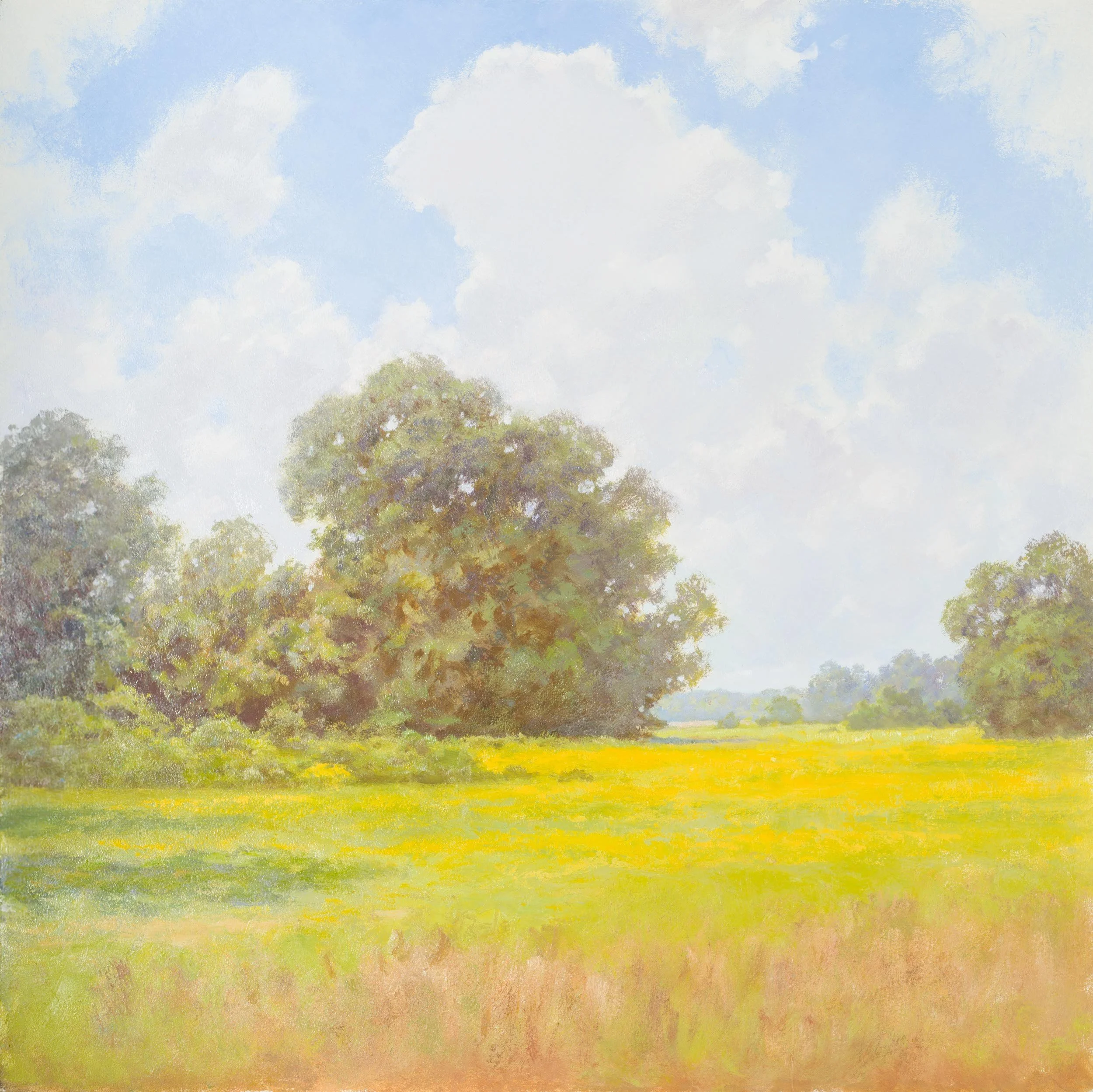 Mid Summer
