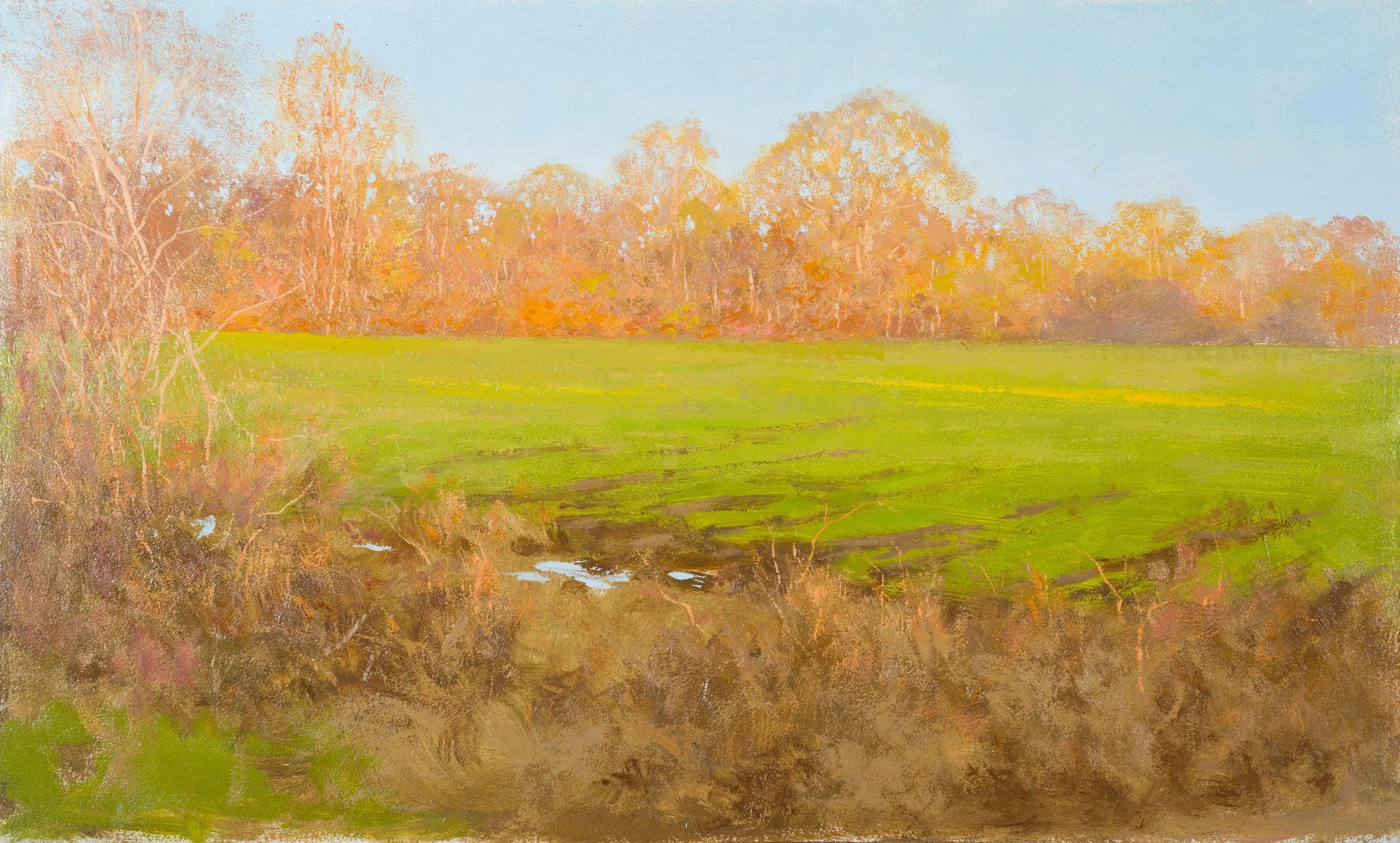 Sunrise, Early Spring