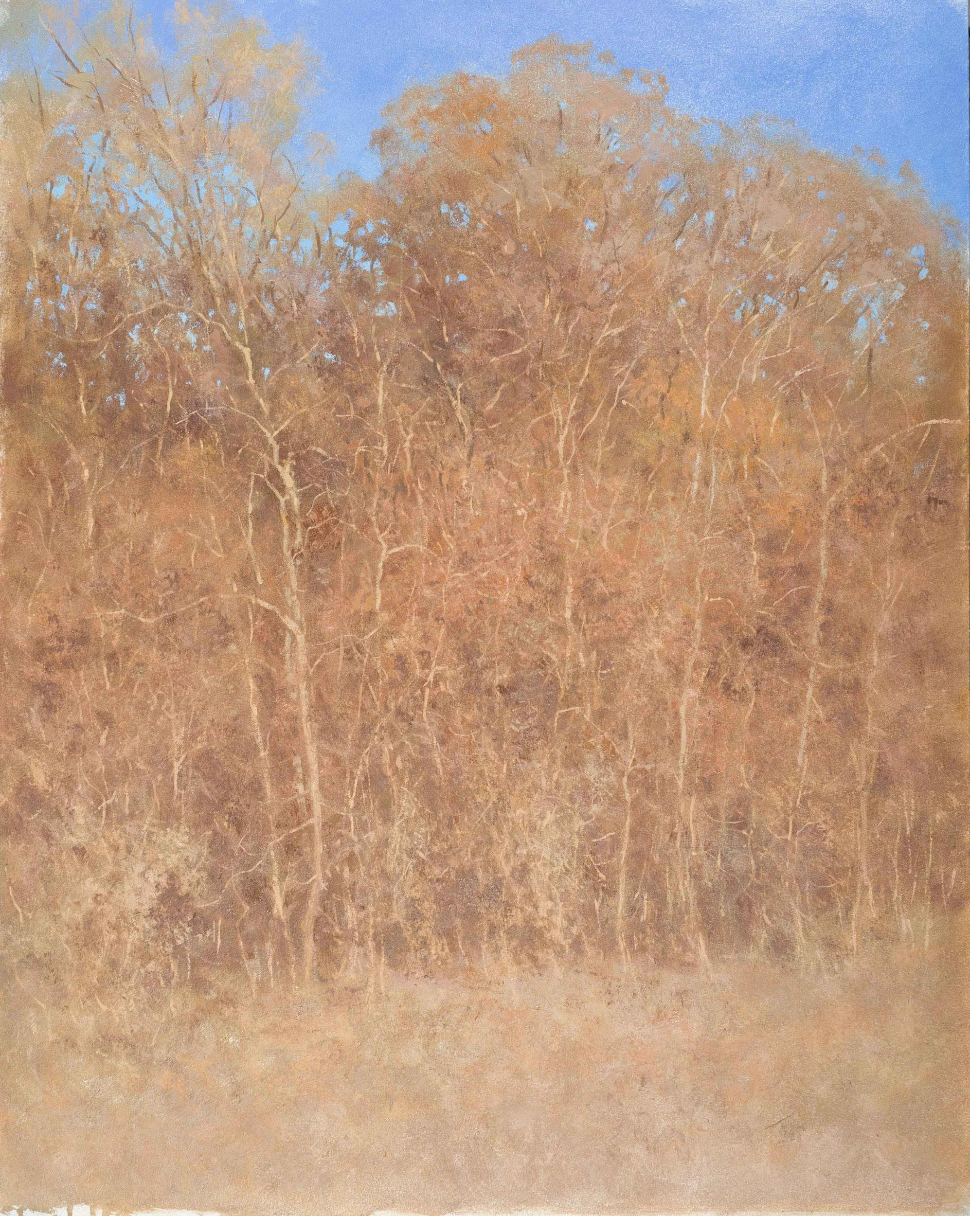 Trees In Winter