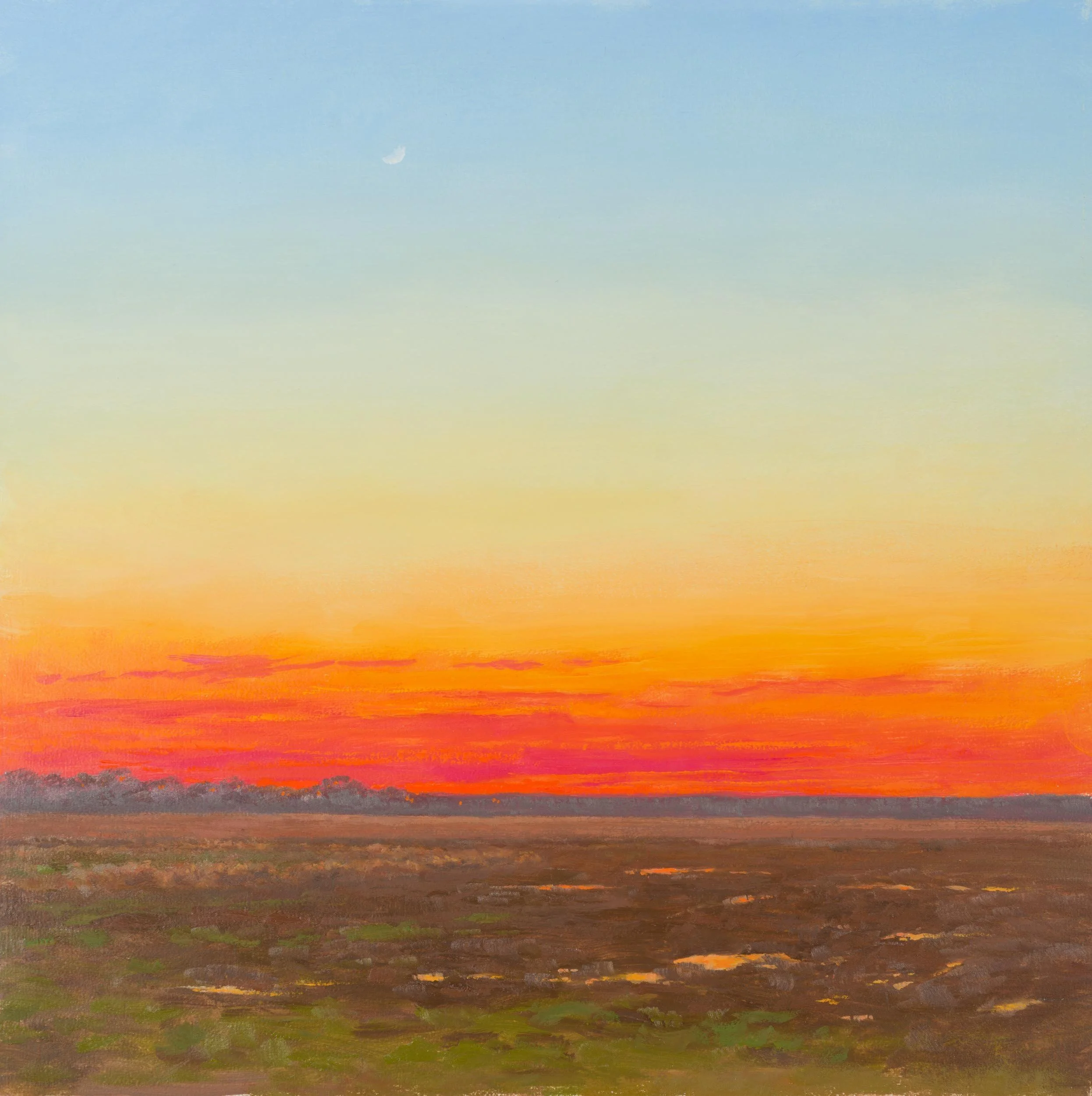 Winter Sunrise, Delta