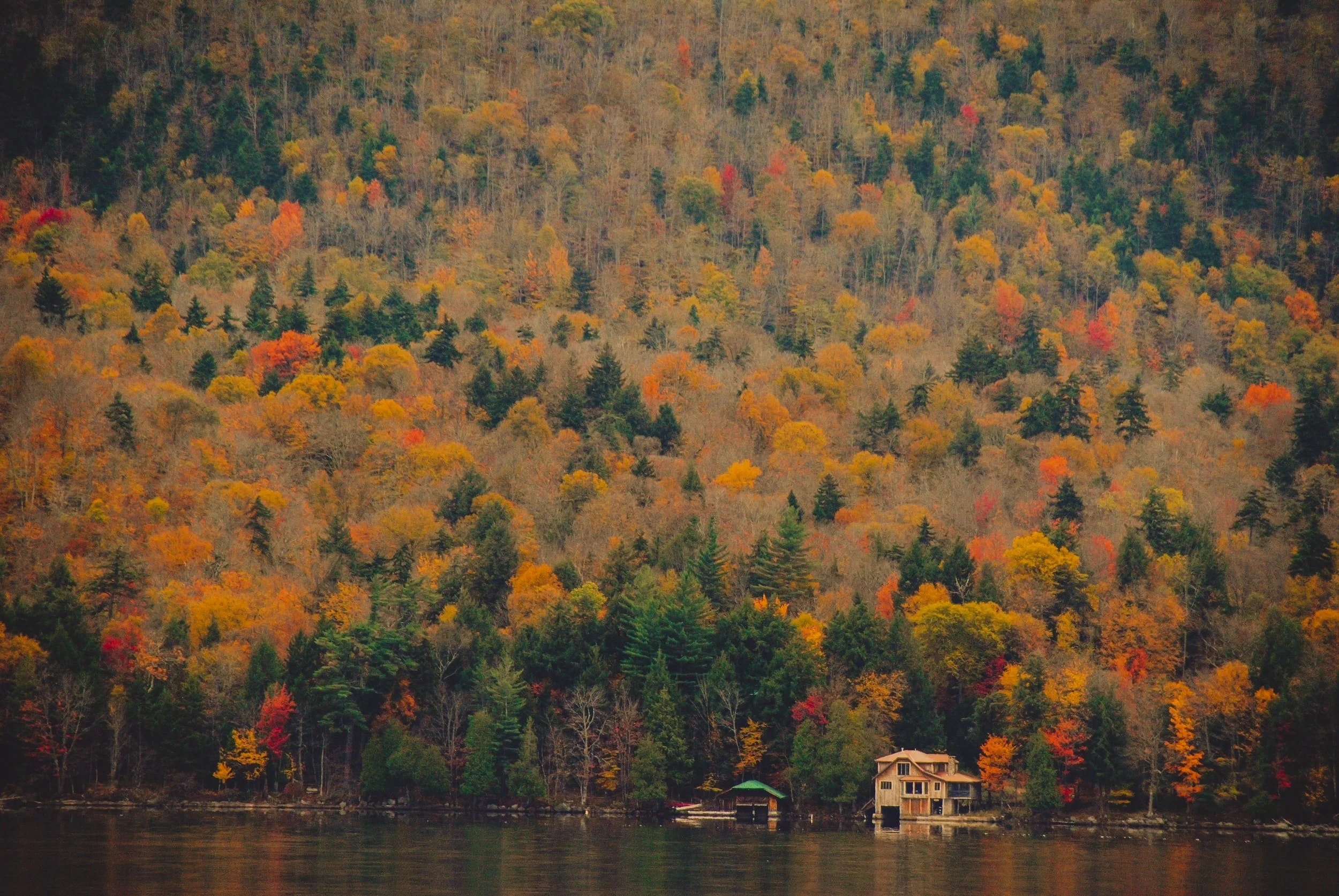 unsplash-image-qDkso9nvCg0.jpg