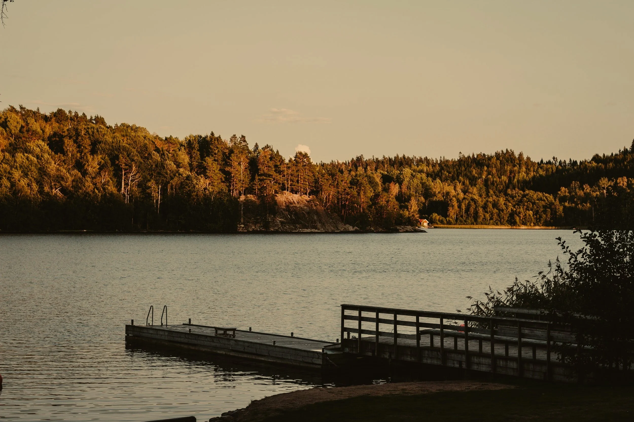 unsplash-image-qxRm7cHbixk.jpg
