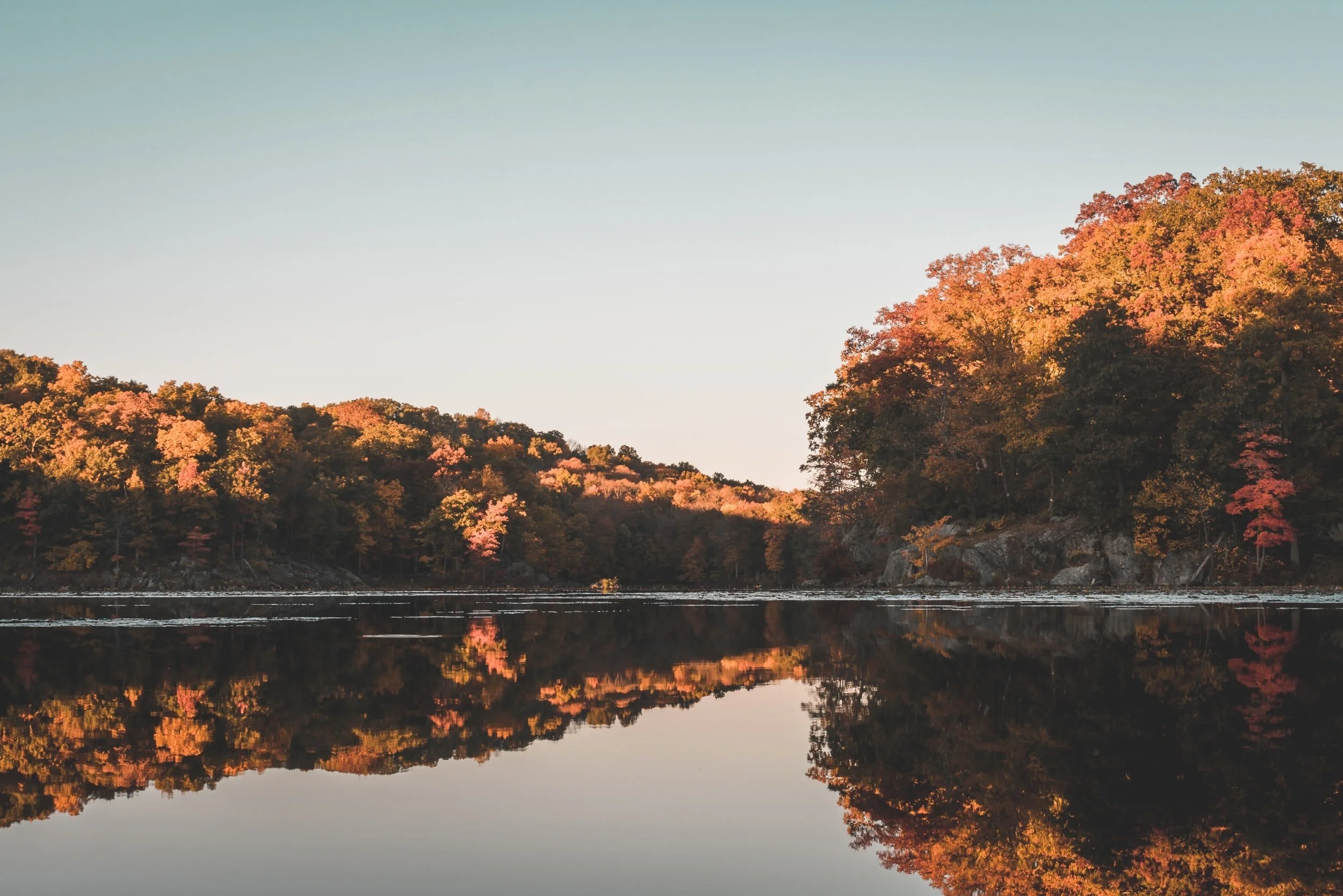 unsplash-image-MW16AkIxn2s.jpg