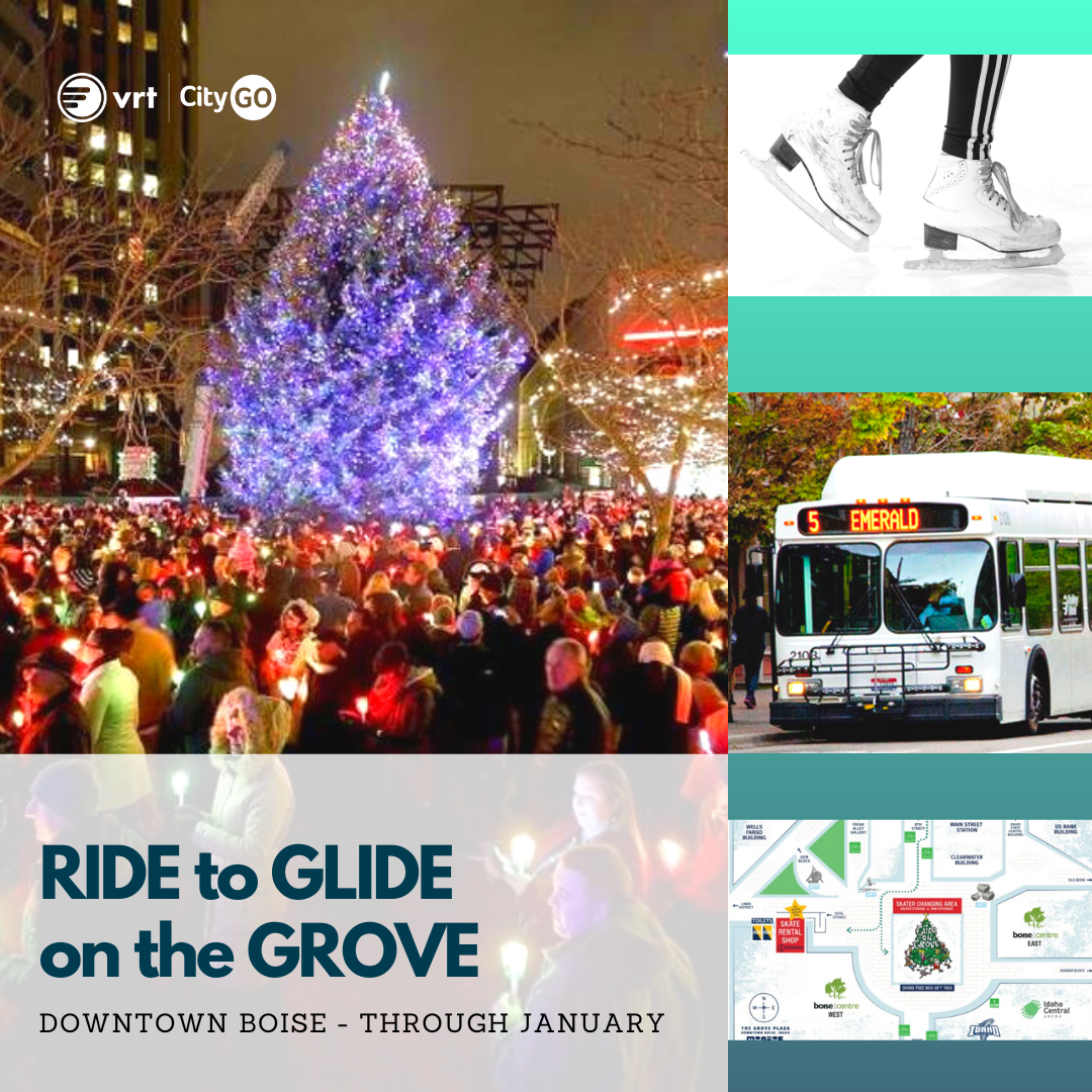 Bus to Glide on Grove