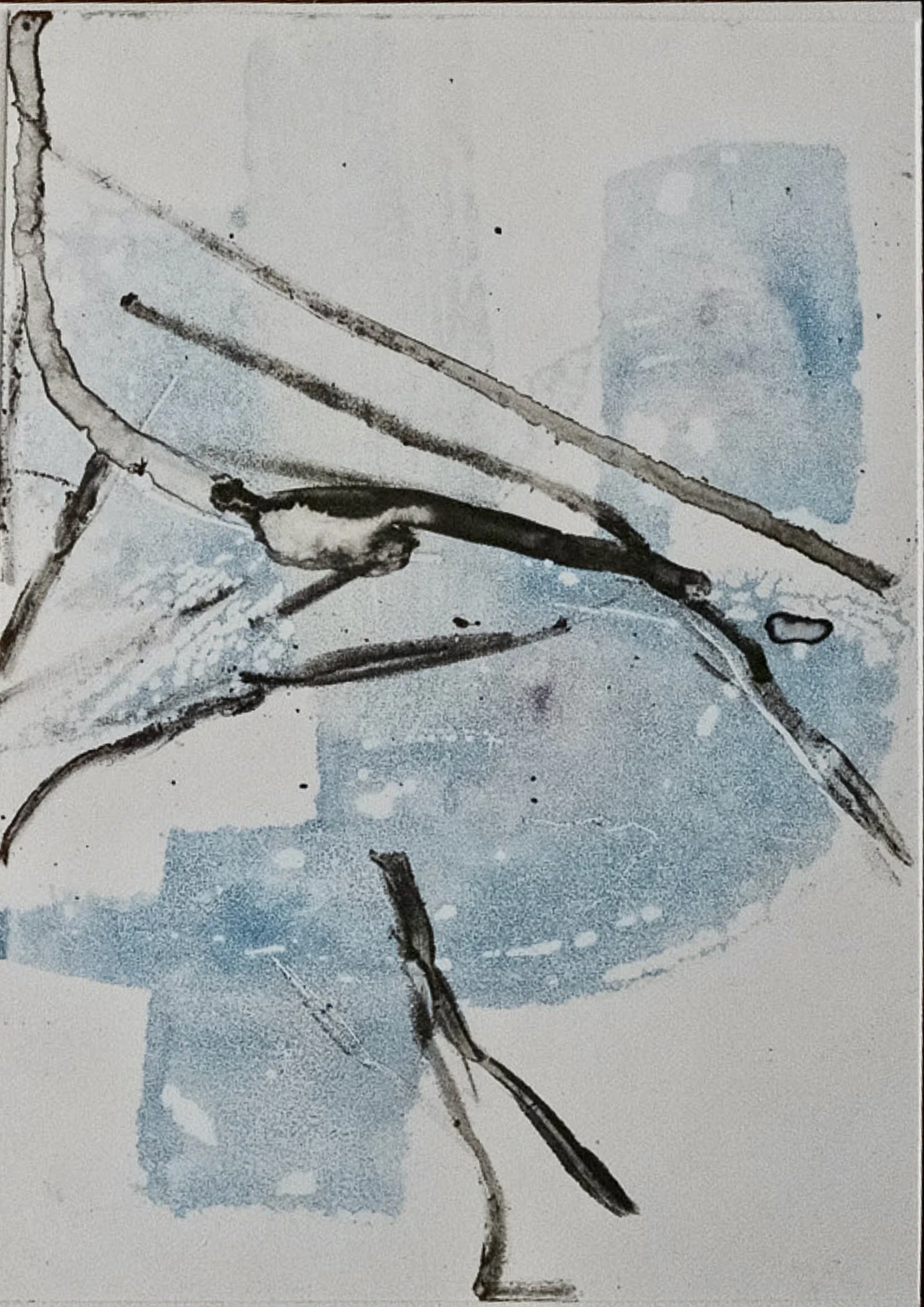 ElizabethMassa - 11.jpeg