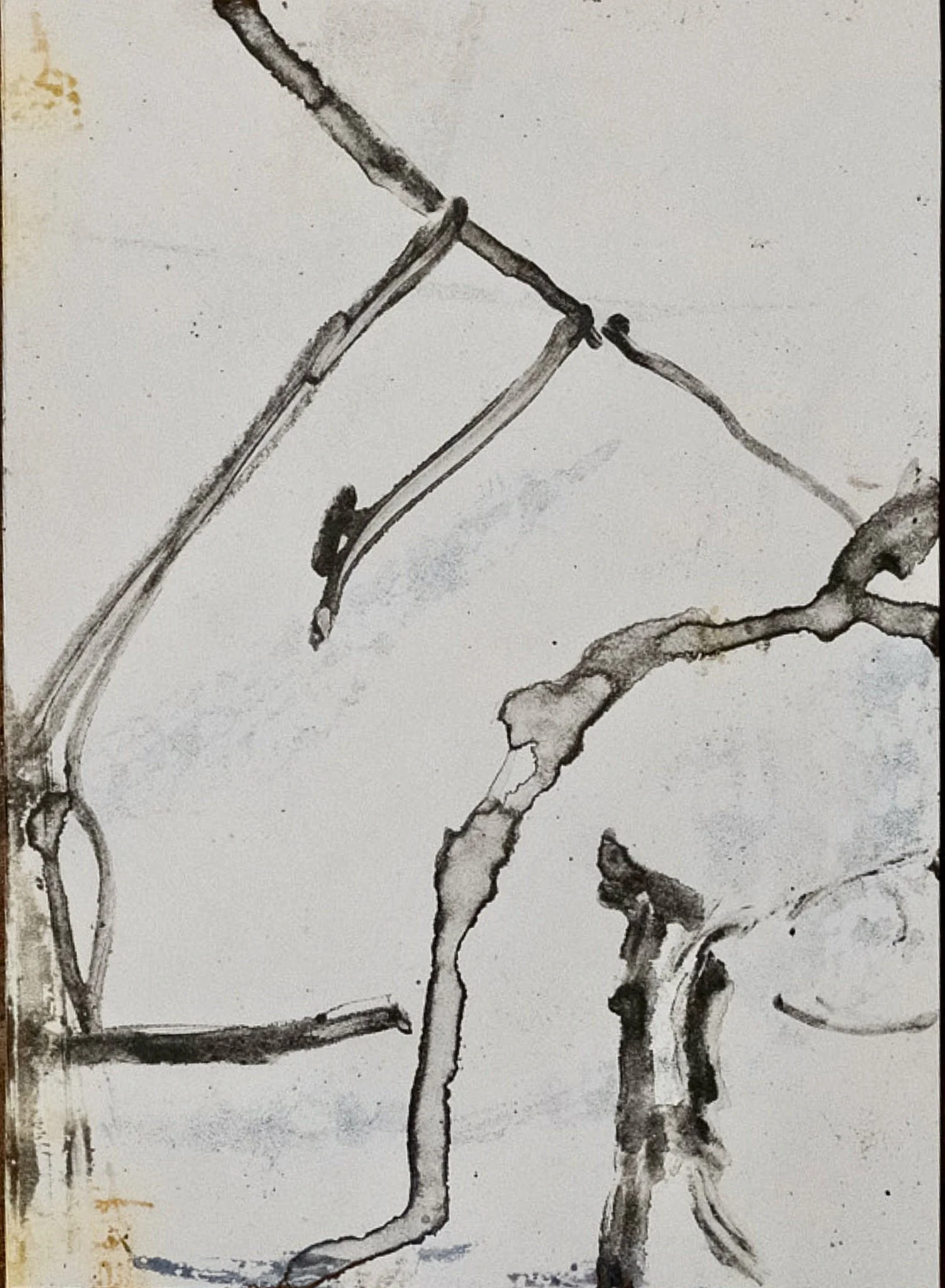 ElizabethMassa - 12.jpeg