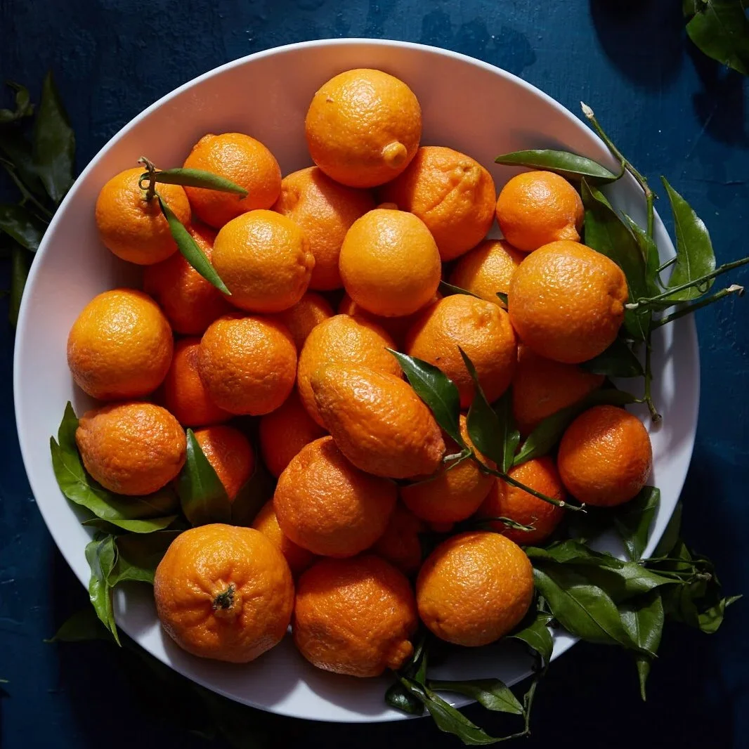 food photography