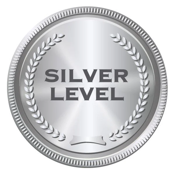 silver-image_orig.jpeg