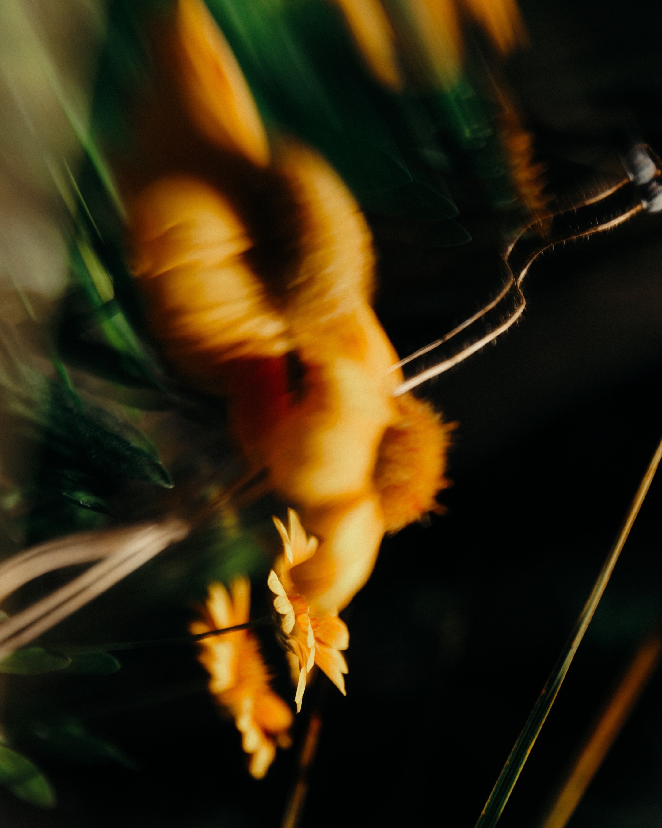 FLOWER6.jpg