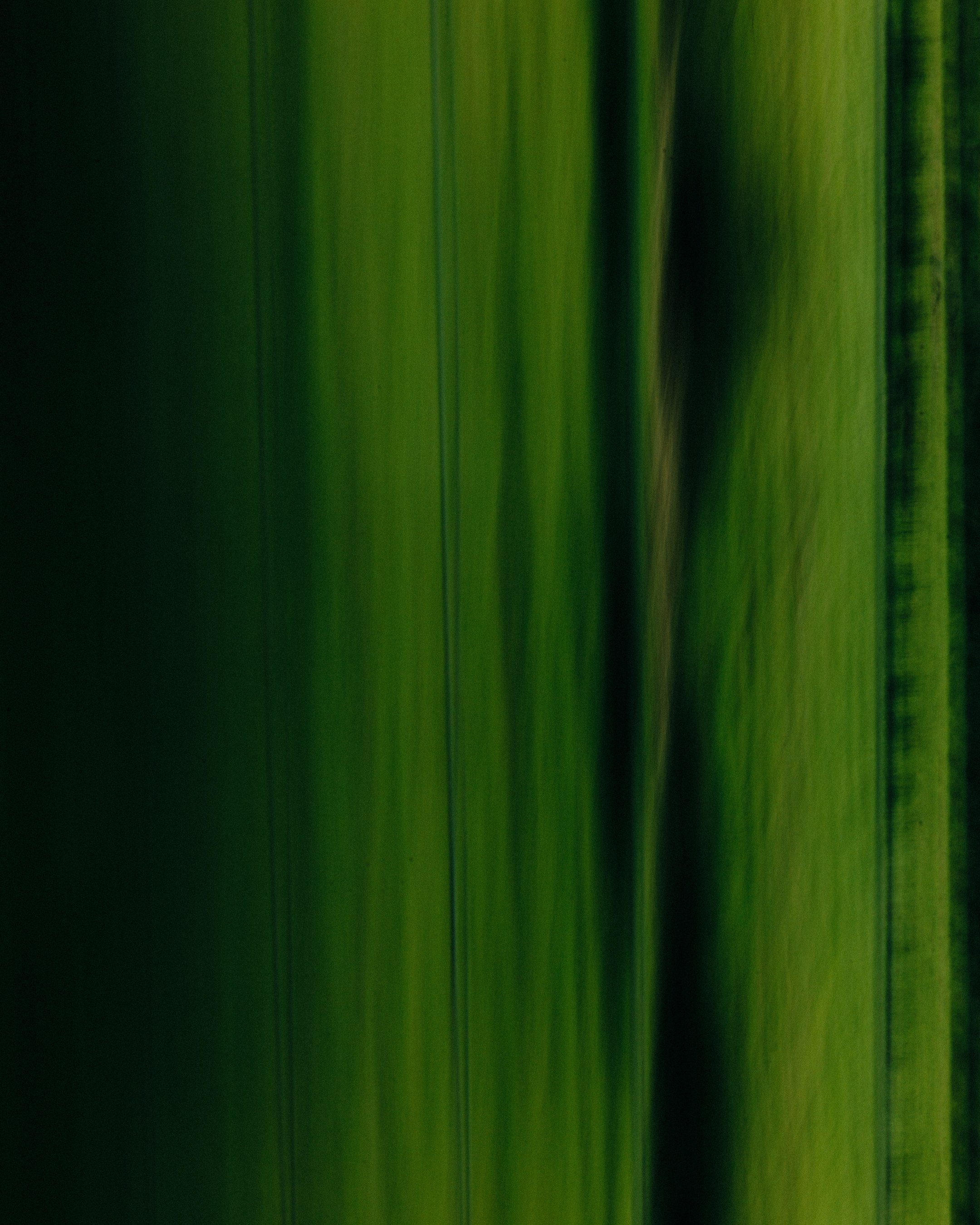 GREEN .jpg